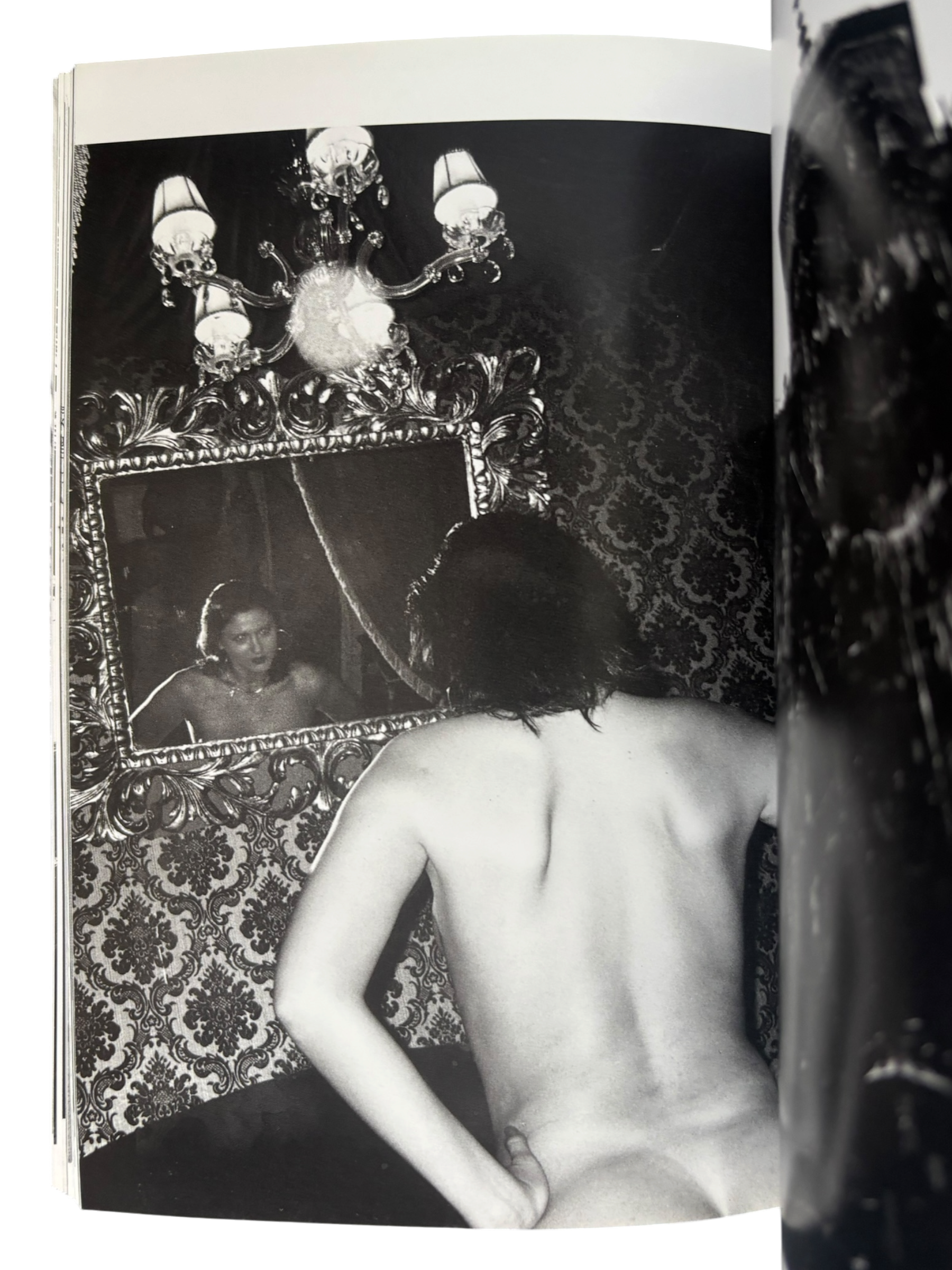 Araki in Wein (1998)
