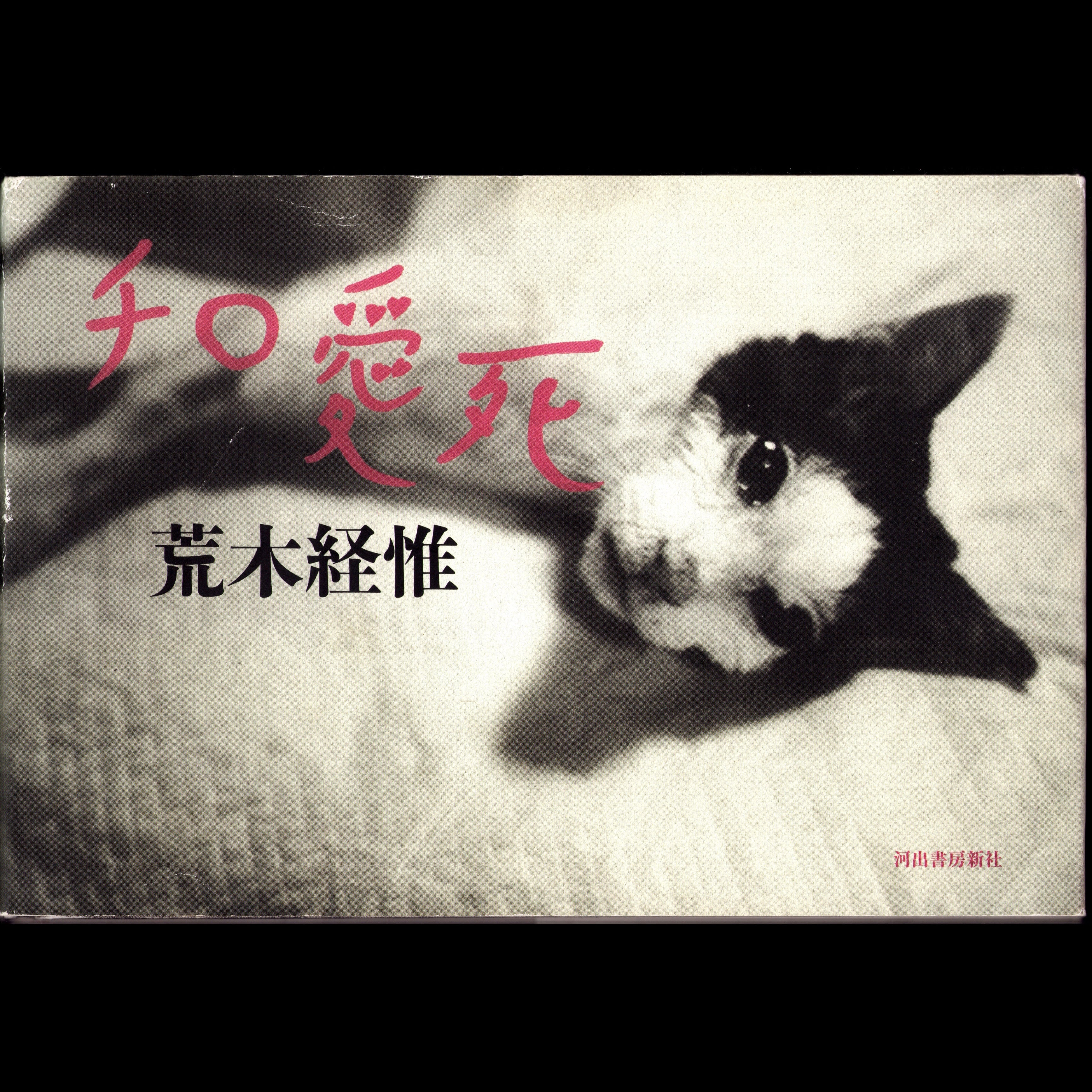 Araki Chiro Ai Shi (2010)