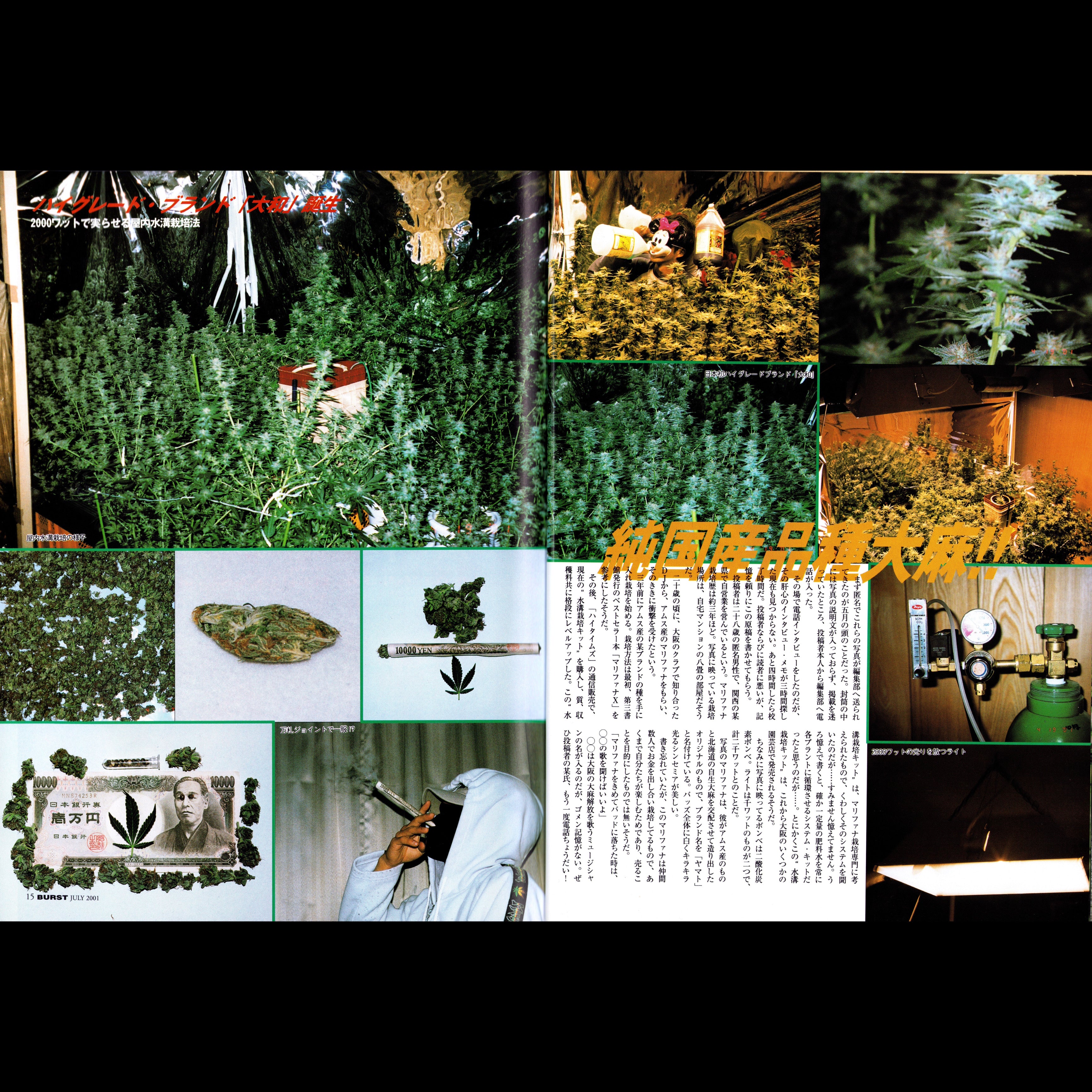 BURST Vol. 43 (2001)