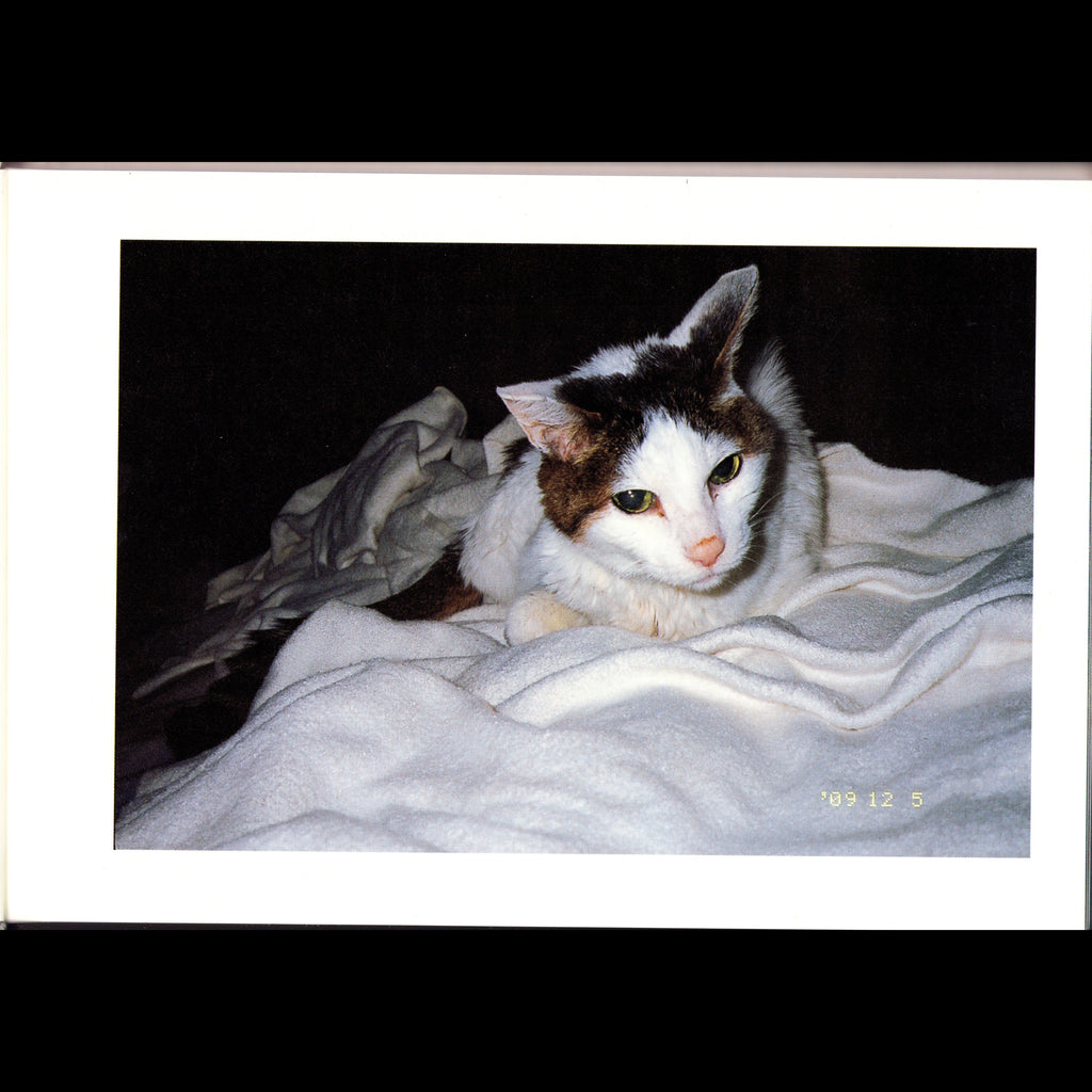 Araki Chiro Ai Shi (2010)