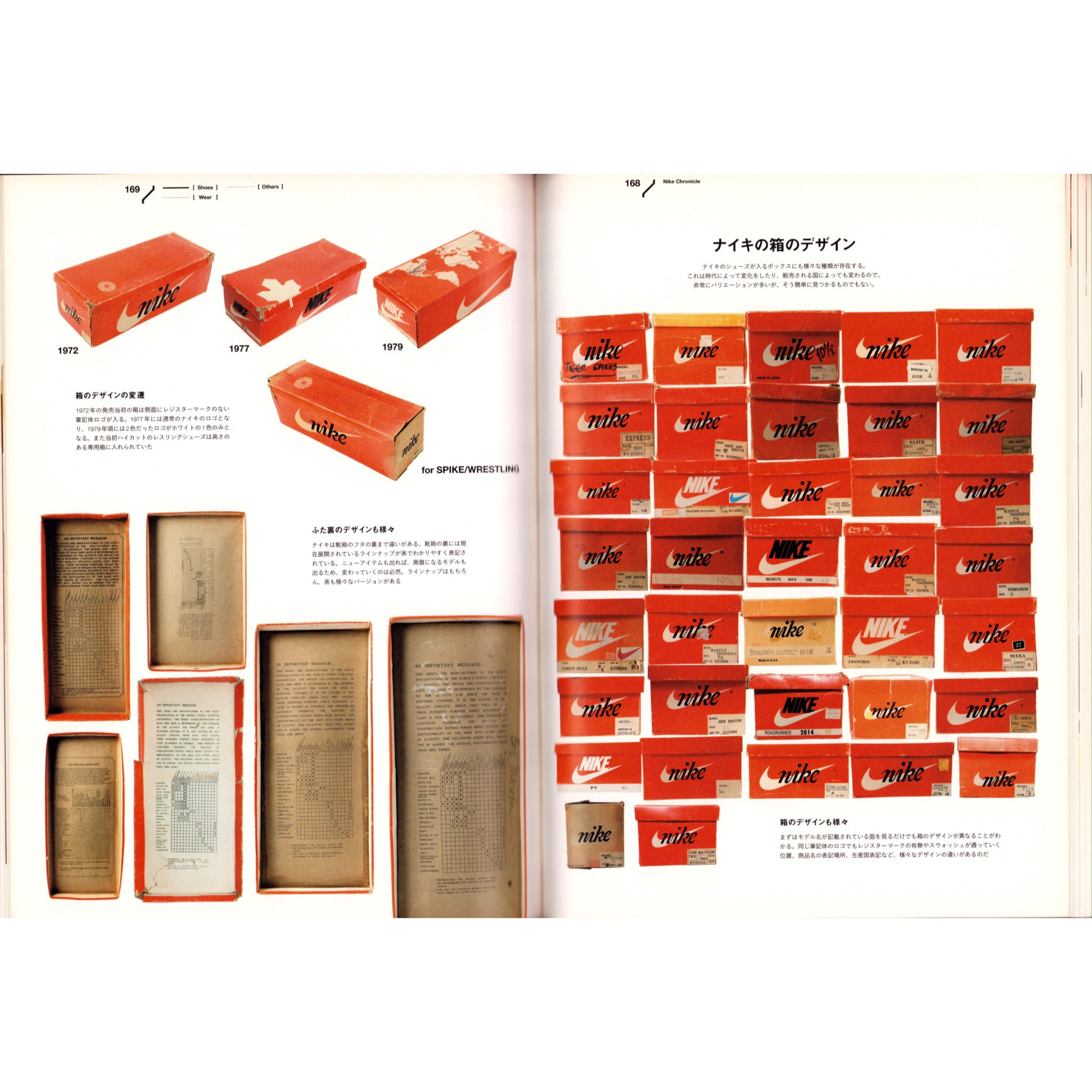 Lightning Nike Chronicle