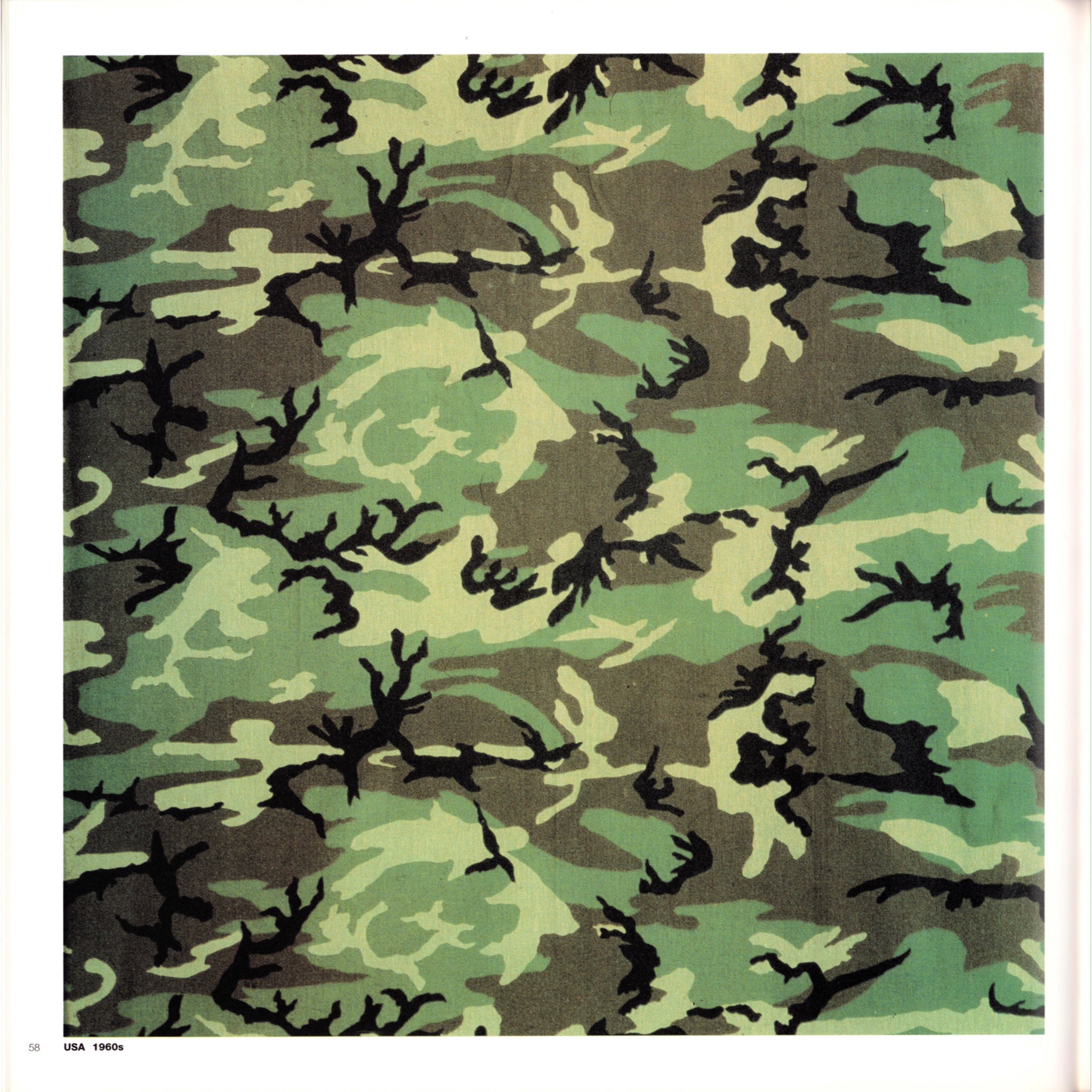 Brassey's Book of Camouflage