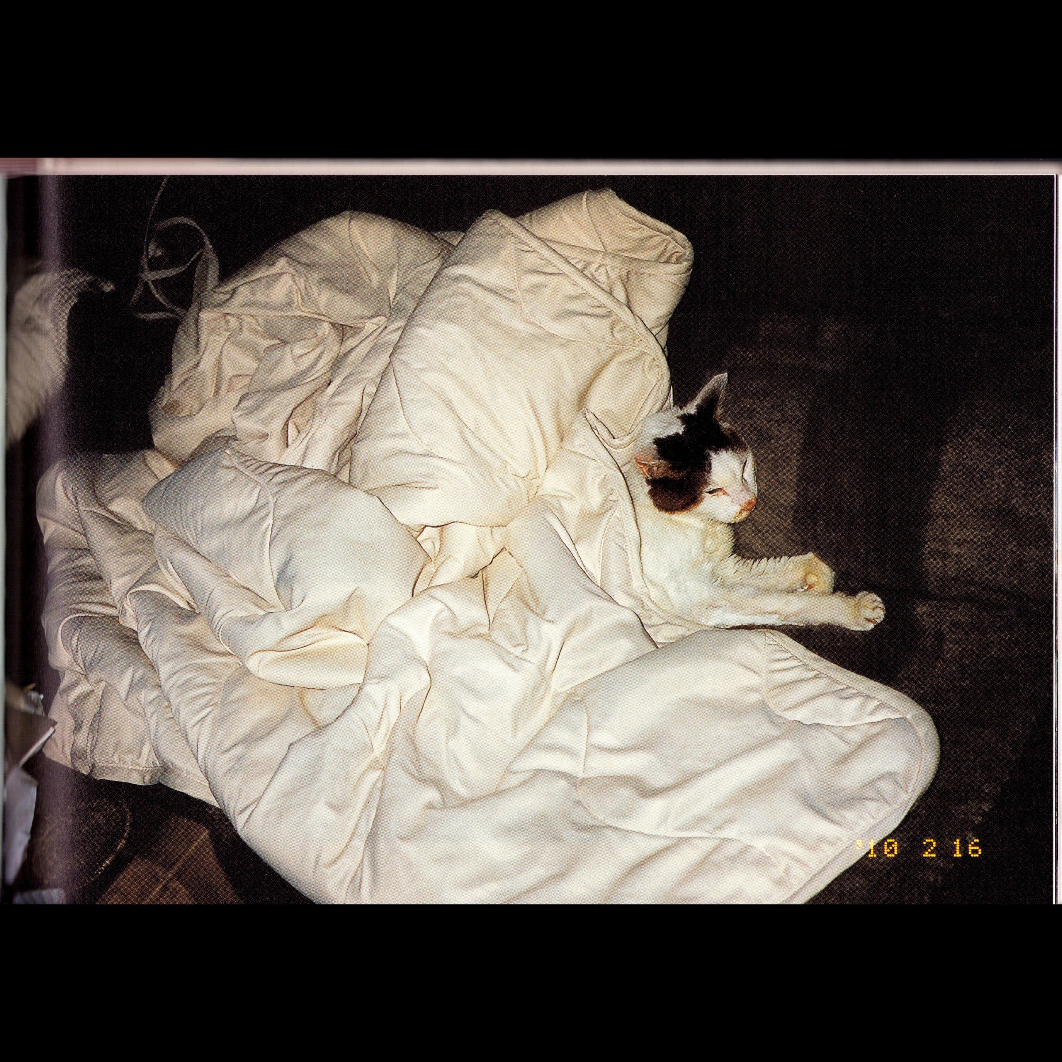 Araki Chiro Ai Shi (2010)