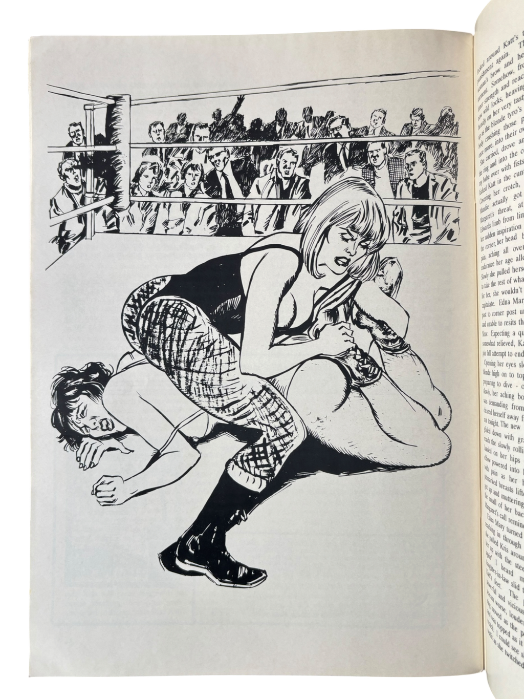 Fighting Gals No. 167 (1999)