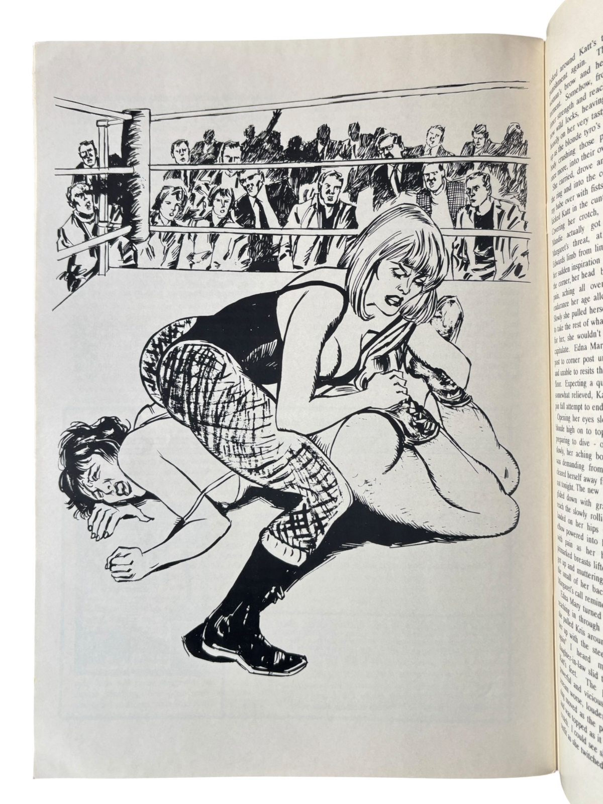 Fighting Gals No. 167 (1999)