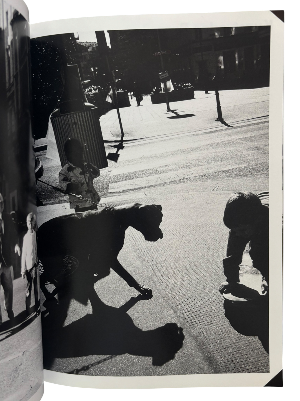 Araki in Wein (1998)