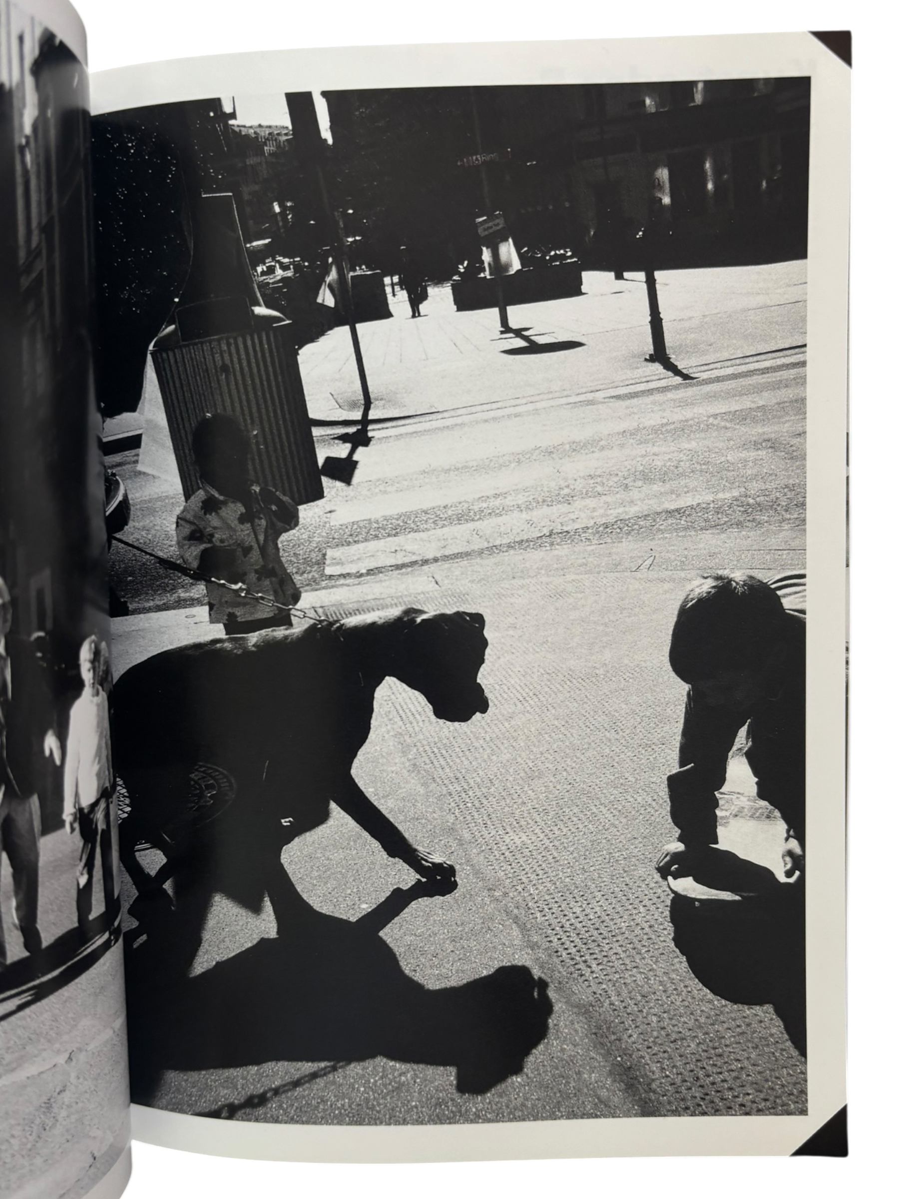 Araki in Wein (1998)