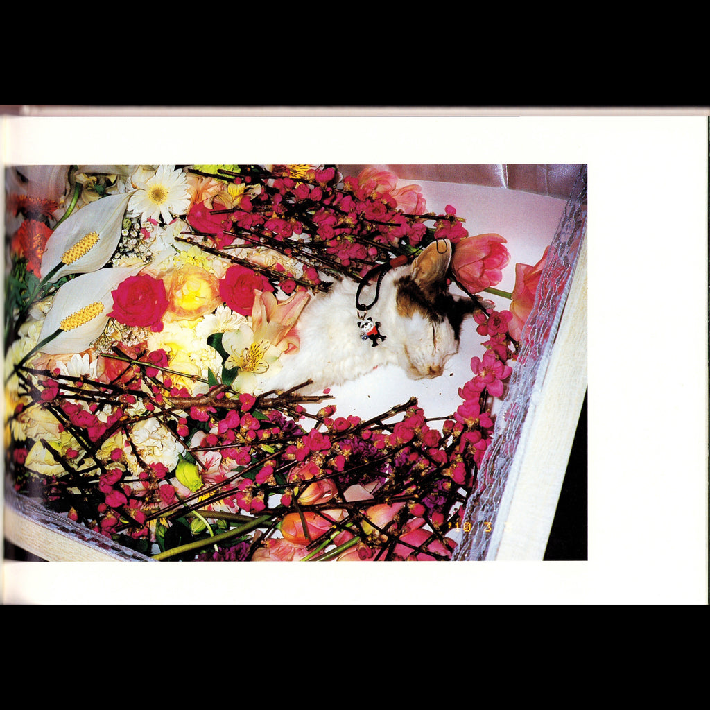 Araki Chiro Ai Shi (2010)