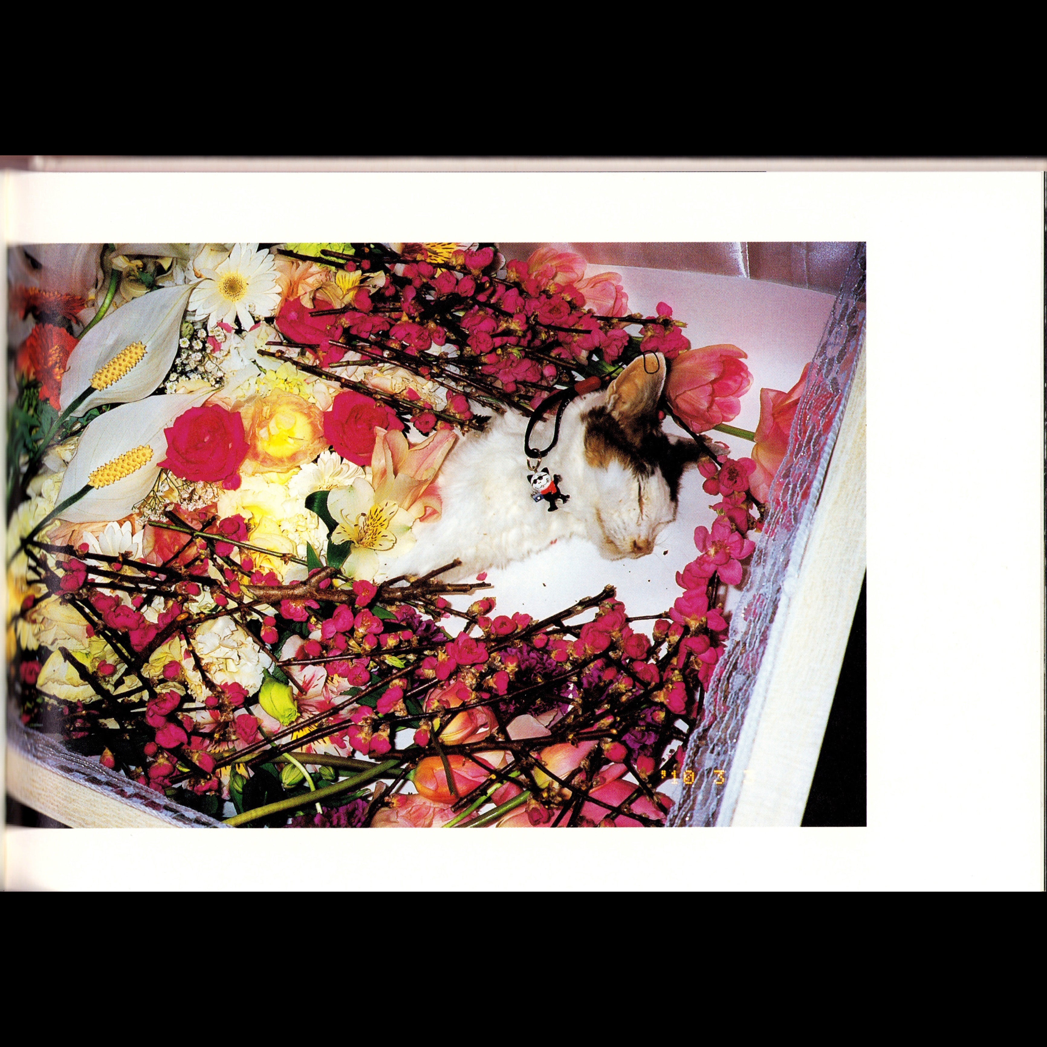 Araki Chiro Ai Shi (2010)