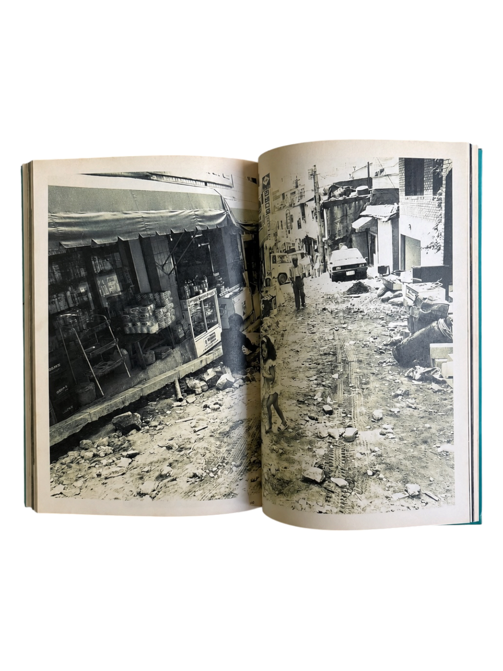 The Works of Nobuyoshi Araki 7: Sentimental Travelouge (1996)