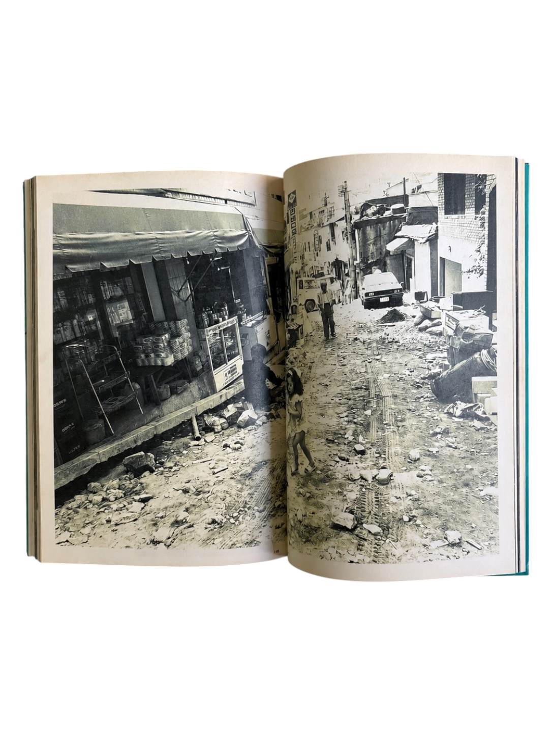 The Works of Nobuyoshi Araki 7: Sentimental Travelouge (1996)