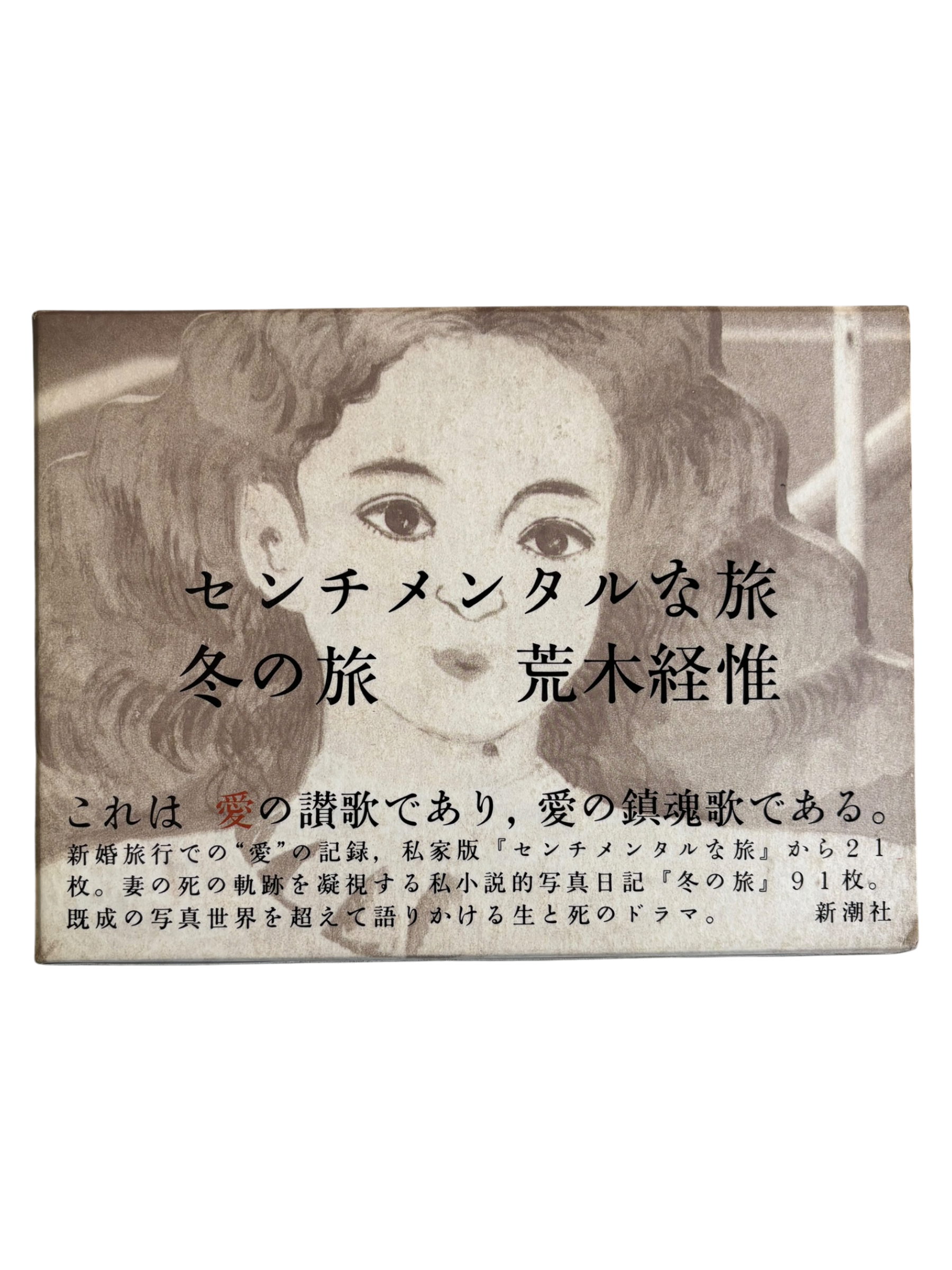 Sentimental Journey, Winter Journey (1991)