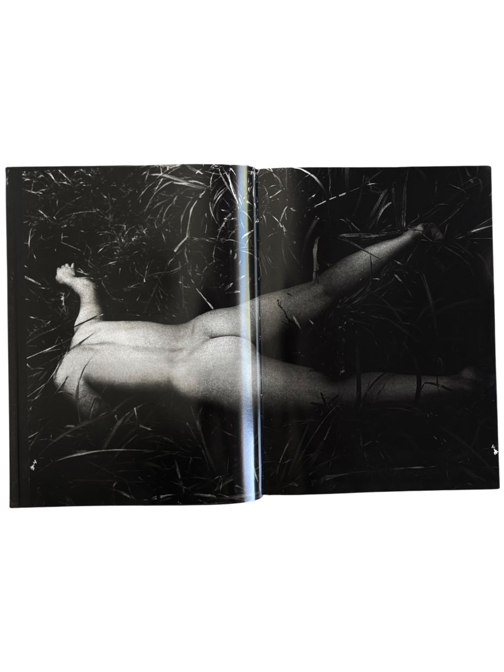 Daido Moriyama: Retrospective since 1965 (2007)