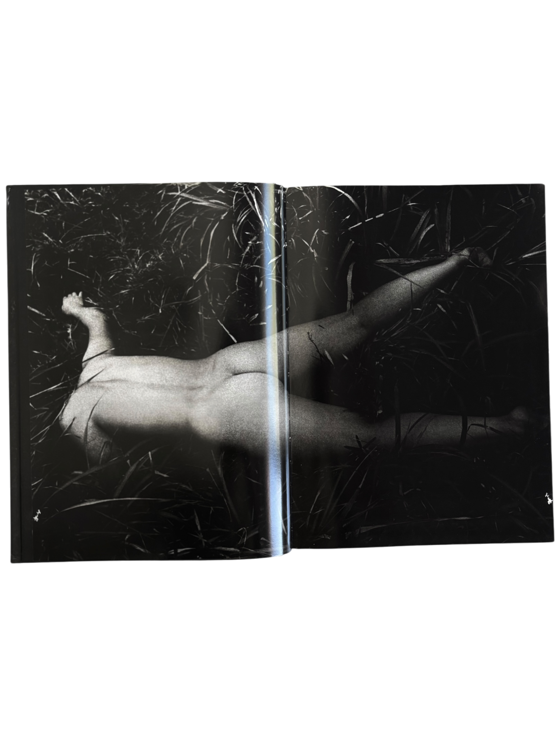 Daido Moriyama: Retrospective since 1965 (2007)