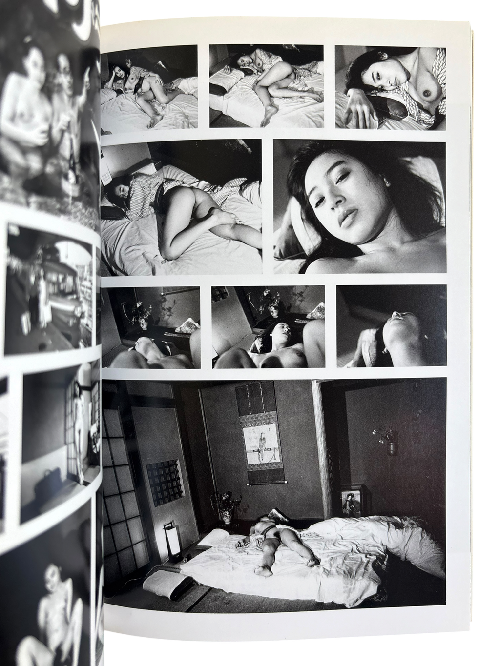 The Works of Nobuyoshi Araki 7: Sentimental Travelouge (1996)