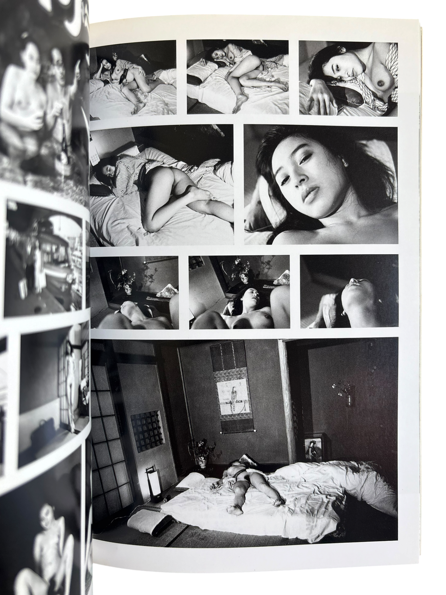 The Works of Nobuyoshi Araki 7: Sentimental Travelouge (1996)