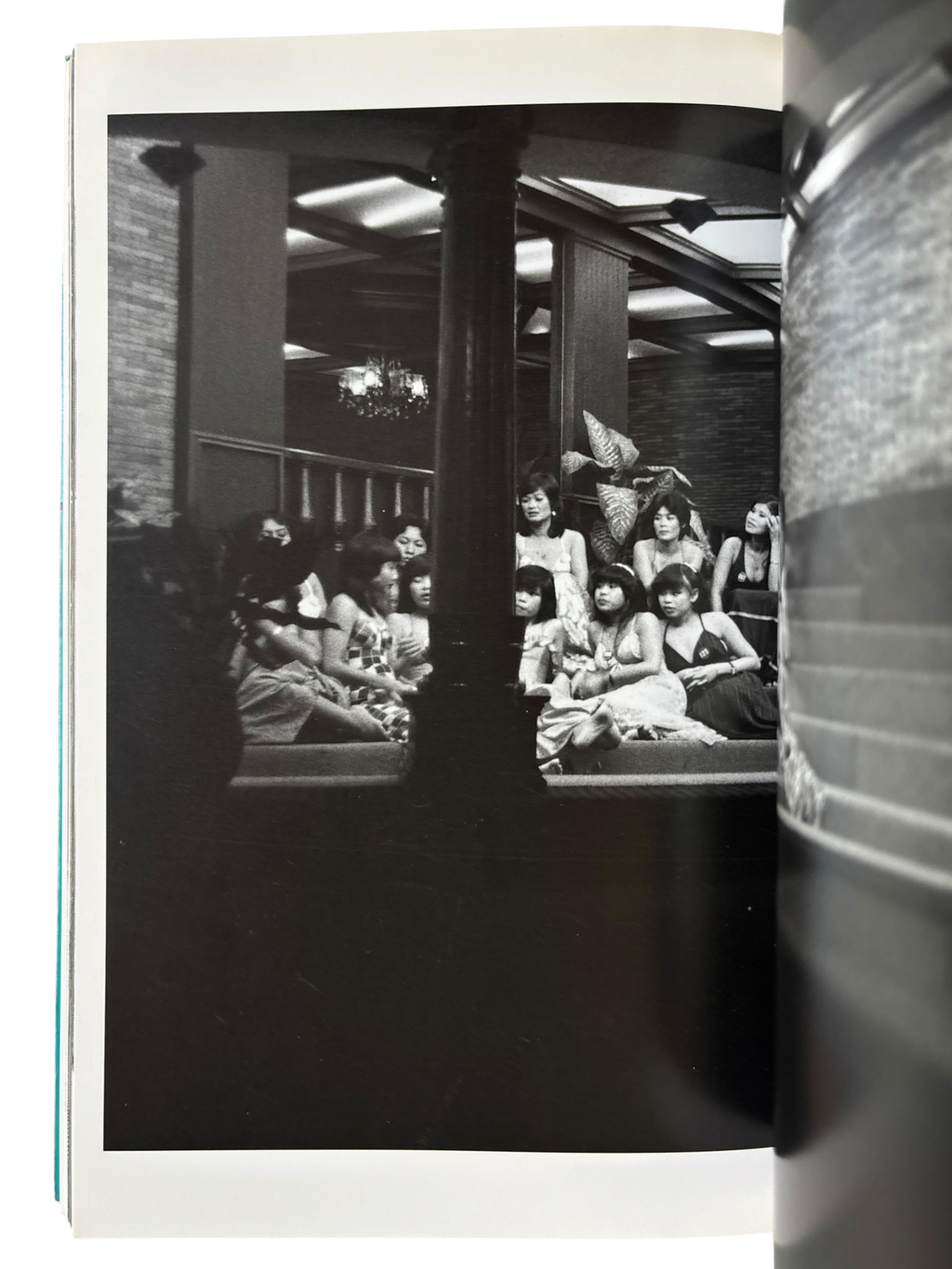 The Works of Nobuyoshi Araki 7: Sentimental Travelouge (1996)