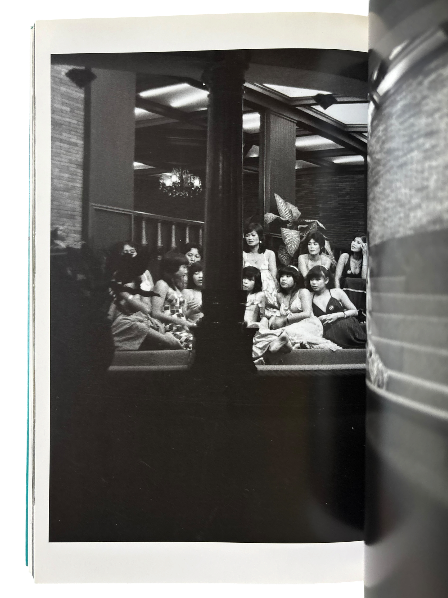 The Works of Nobuyoshi Araki 7: Sentimental Travelouge (1996)