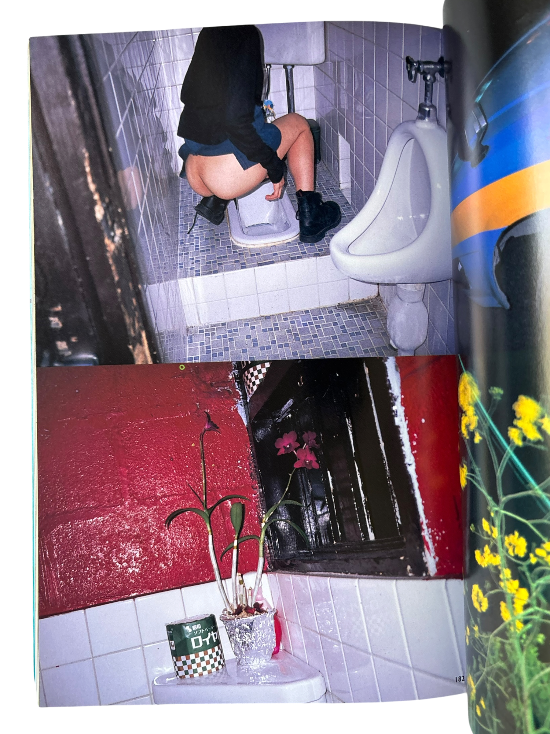 The Works of Nobuyoshi Araki 7: Sentimental Travelouge (1996)
