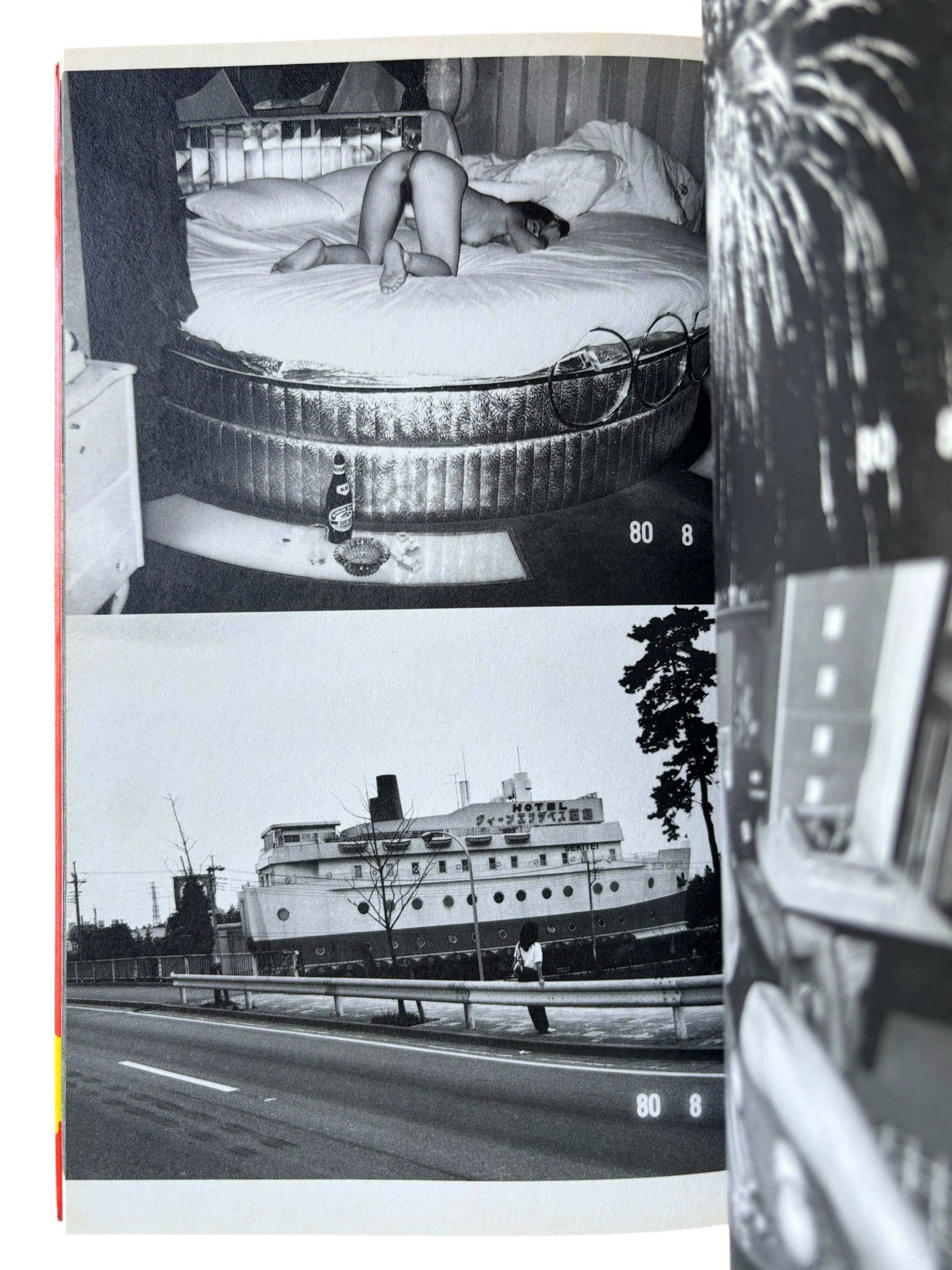 The Works of Nobuyoshi Araki 8: Private Diary 1980-1995 (1996)