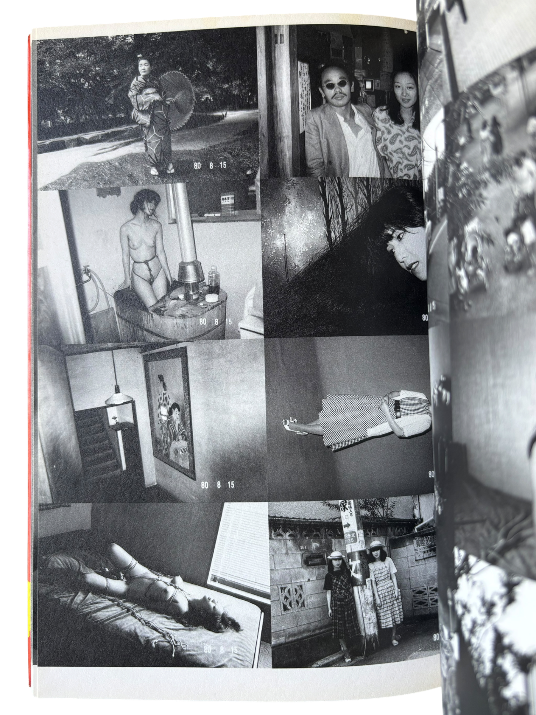 The Works of Nobuyoshi Araki 8: Private Diary 1980-1995 (1996)