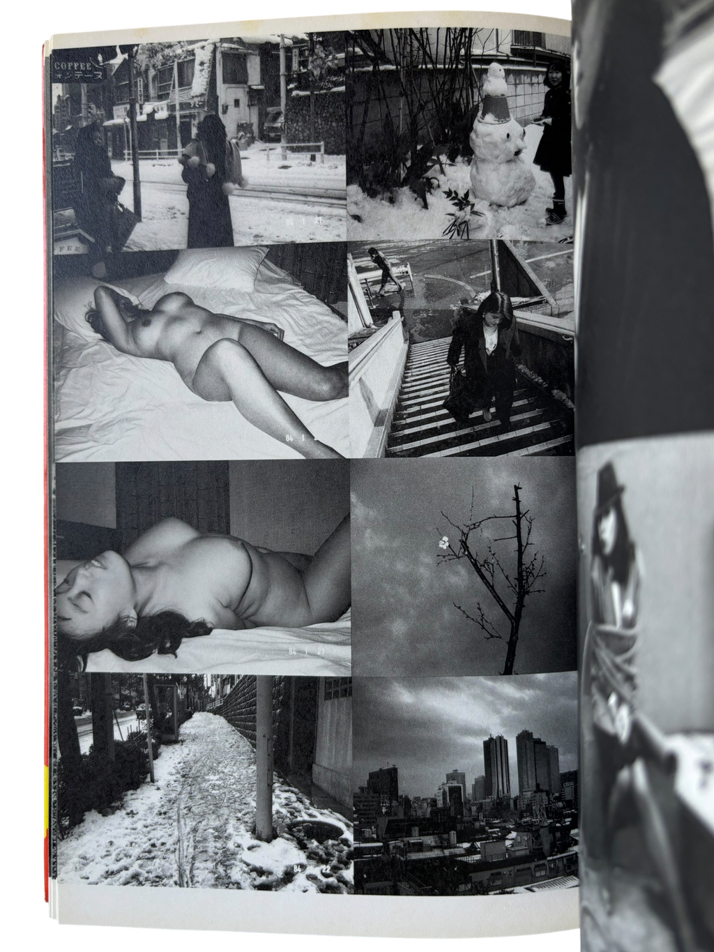 The Works of Nobuyoshi Araki 8: Private Diary 1980-1995 (1996)