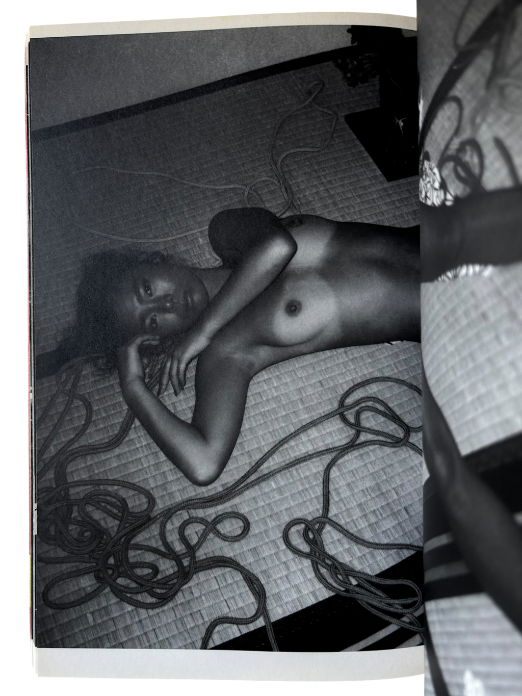 The Works of Nobuyoshi Araki 8: Private Diary 1980-1995 (1996)
