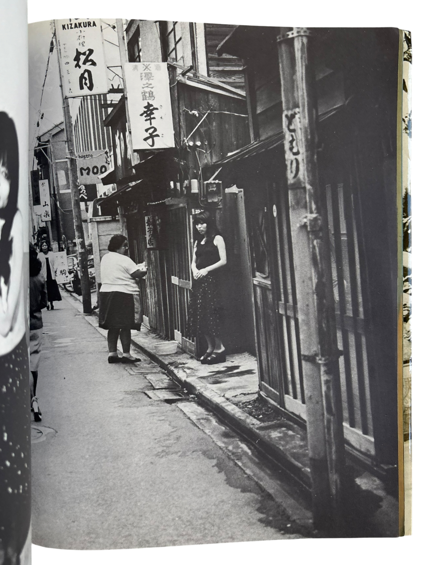 Gekisha Nobuyoshi Araki (1978)