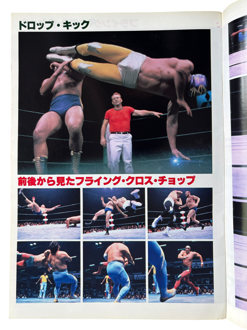 Prowrestling Album No. 2: Mil Mascaras (1980)