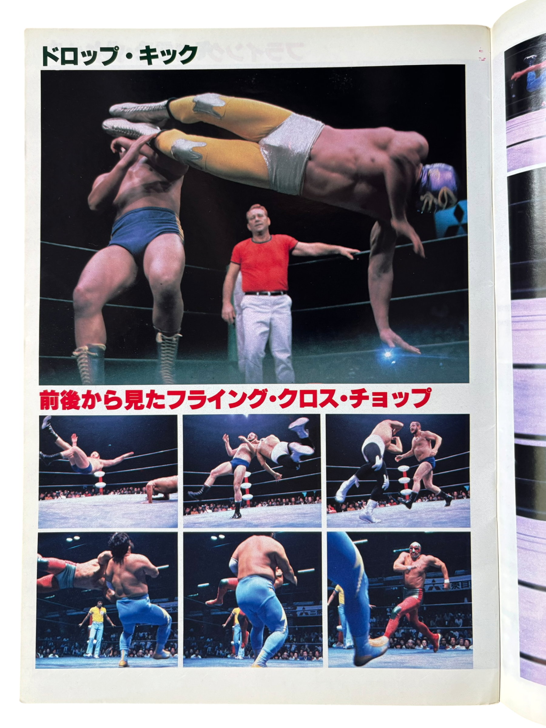 Prowrestling Album No. 2: Mil Mascaras (1980)