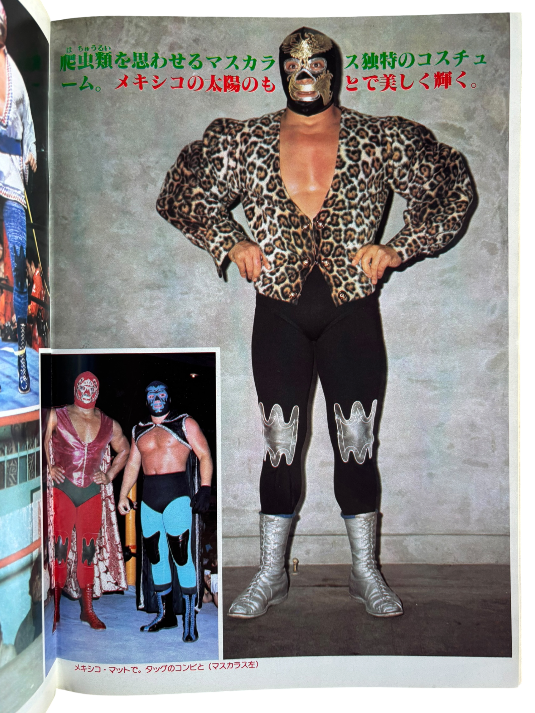 Prowrestling Album No. 2: Mil Mascaras (1980)