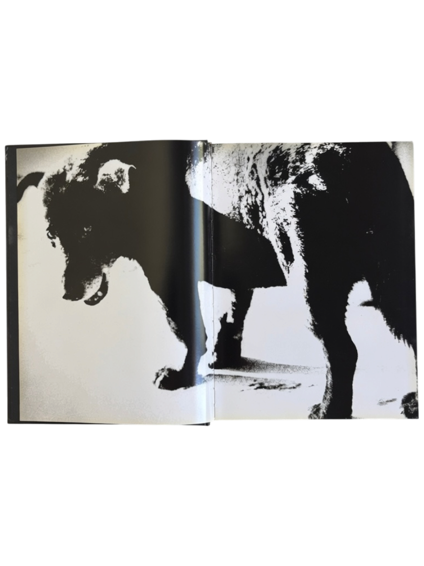Daido Moriyama: Retrospective since 1965 (2007)