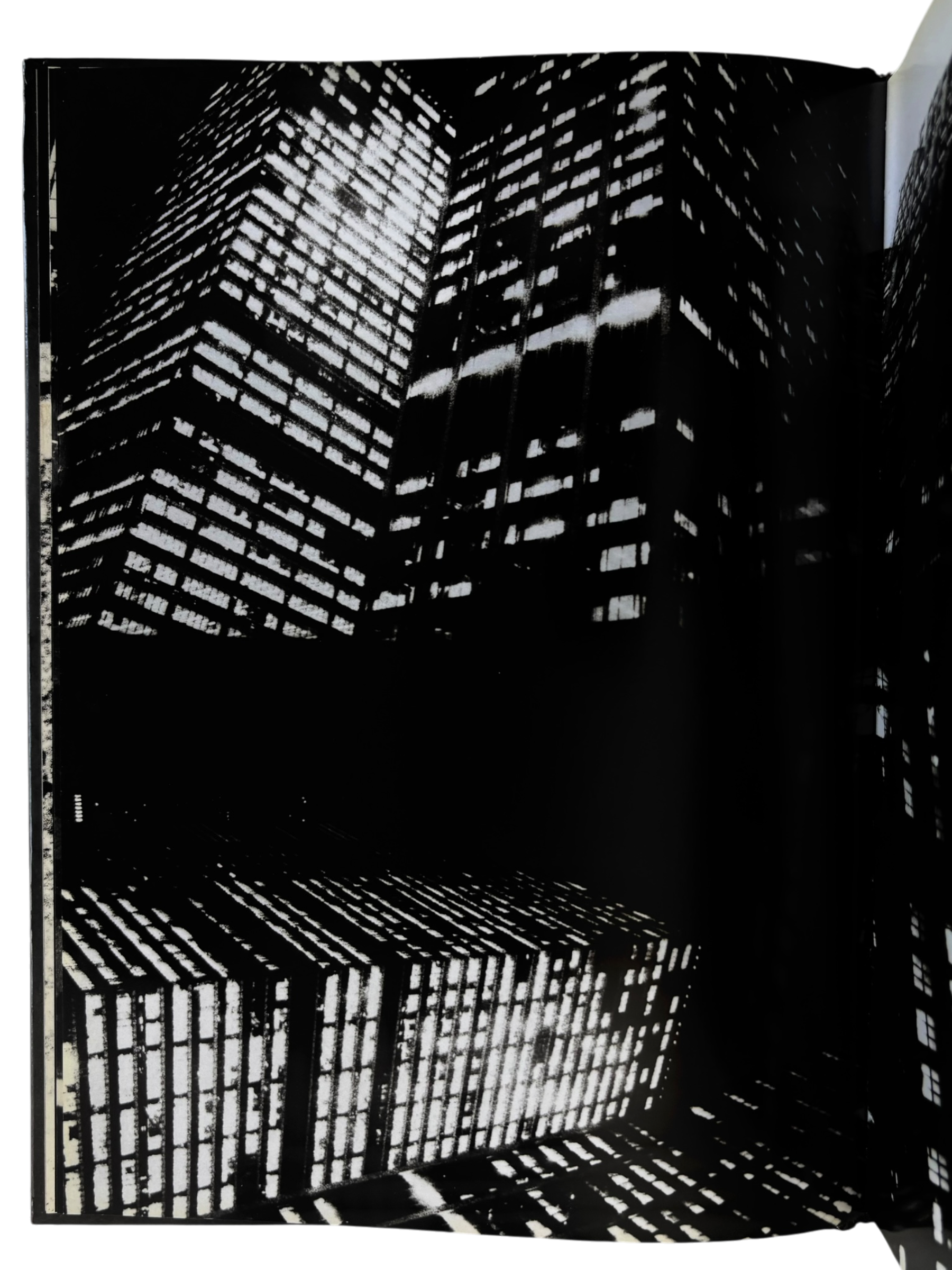 Daido Moriyama: Retrospective since 1965 (2007)