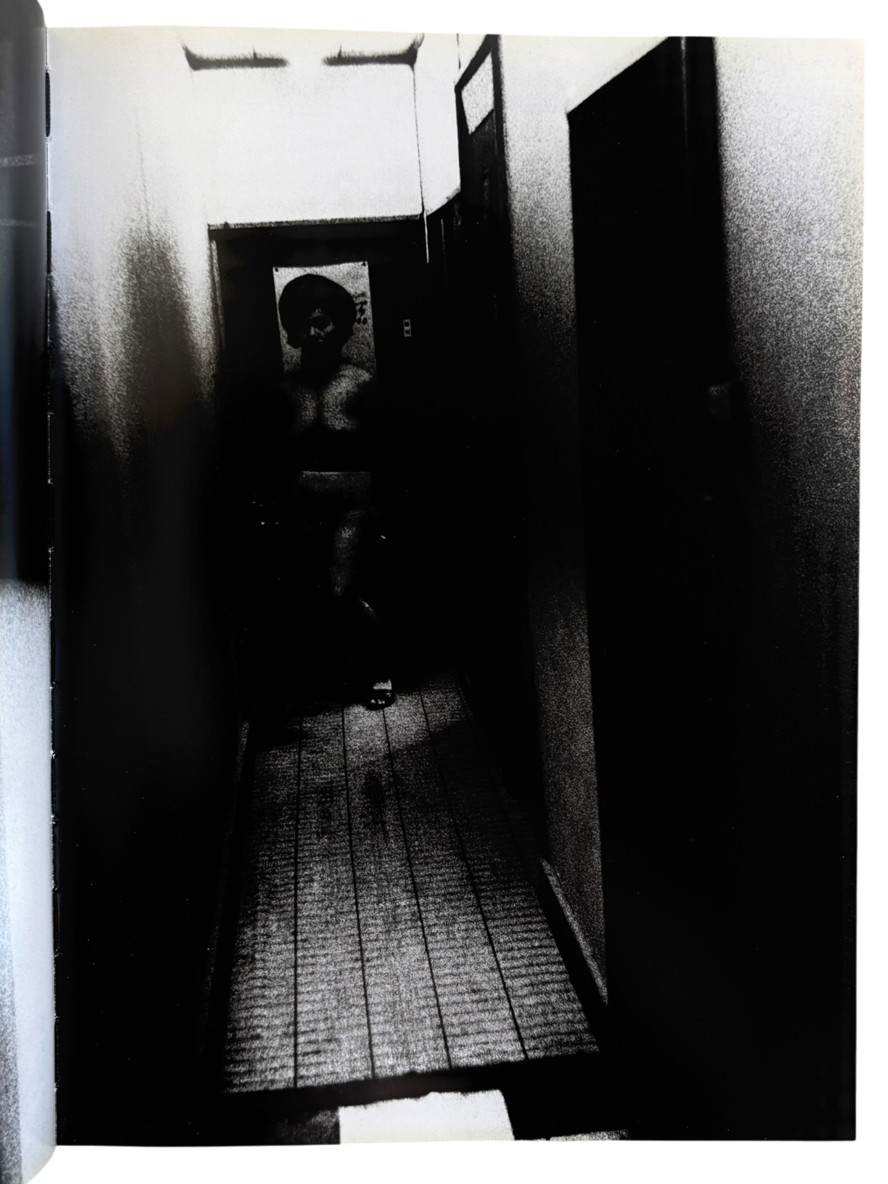 Daido Moriyama: Retrospective since 1965 (2007)