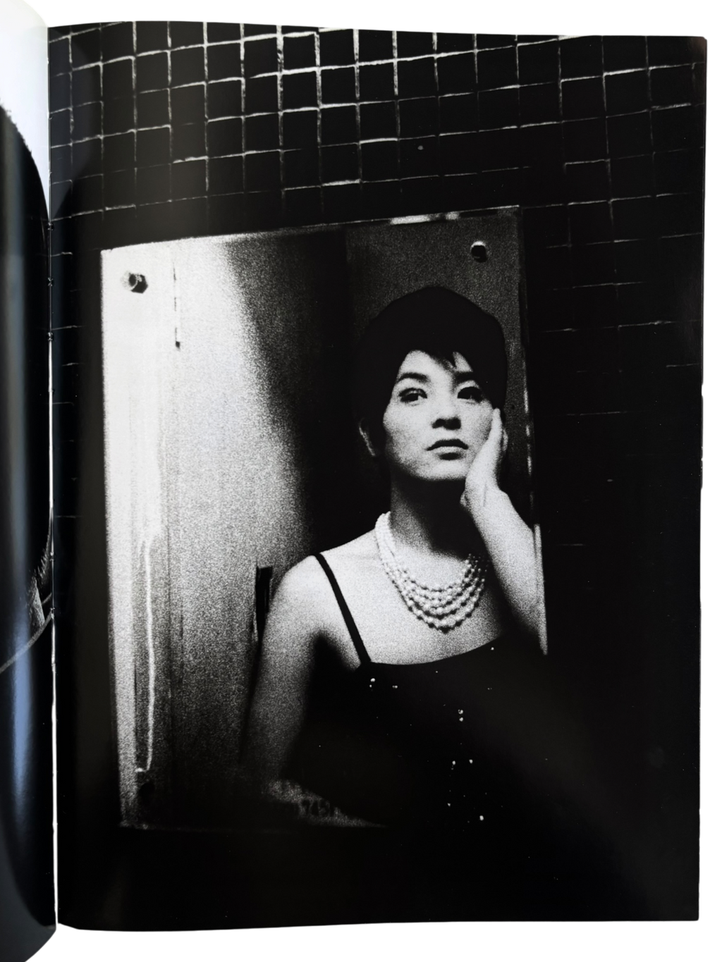 Daido Moriyama: Retrospective since 1965 (2007)