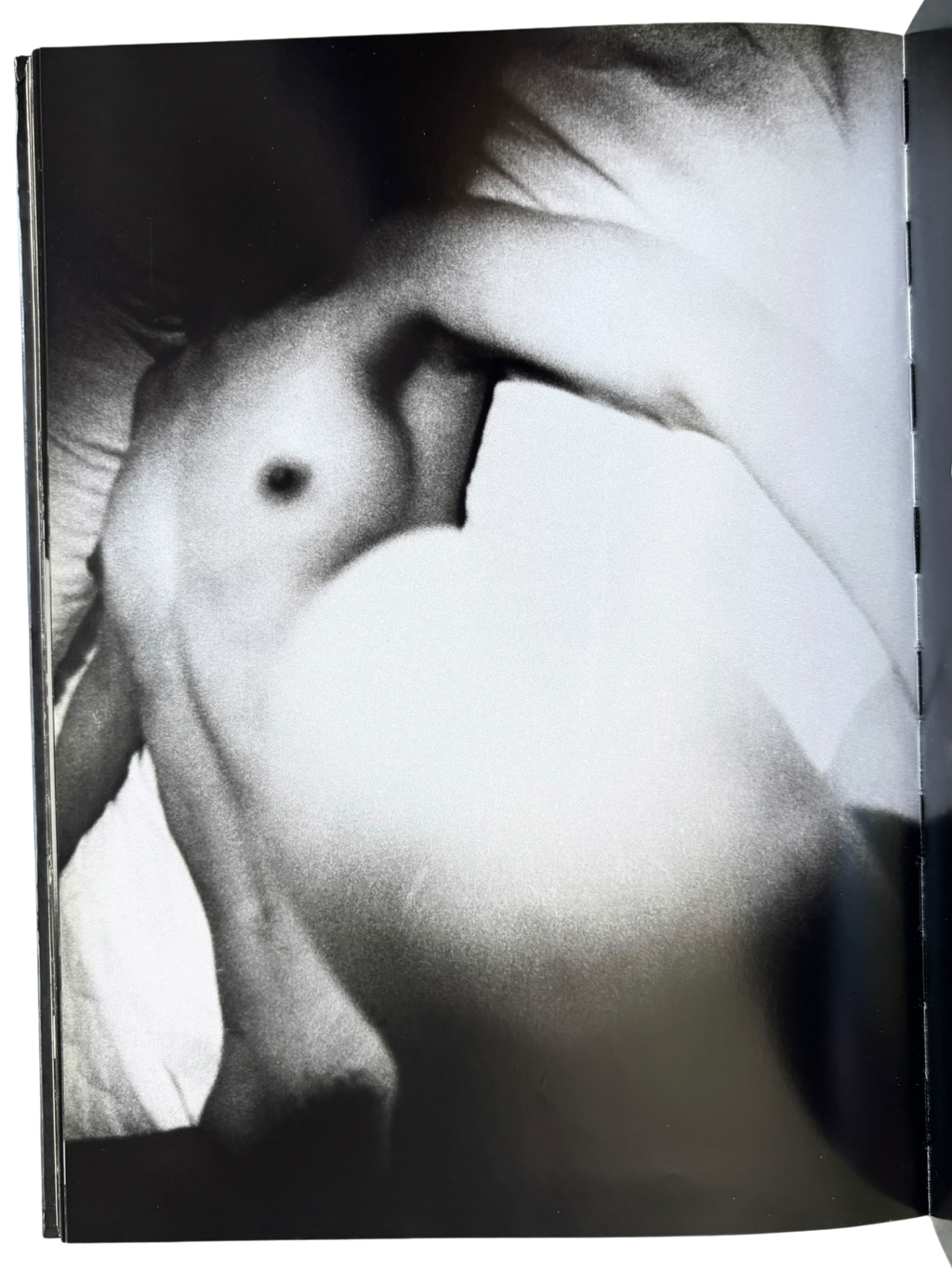 Daido Moriyama: Retrospective since 1965 (2007)
