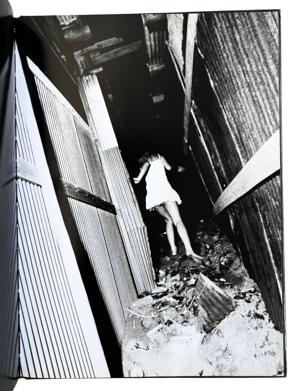 Daido Moriyama: Retrospective since 1965 (2007)