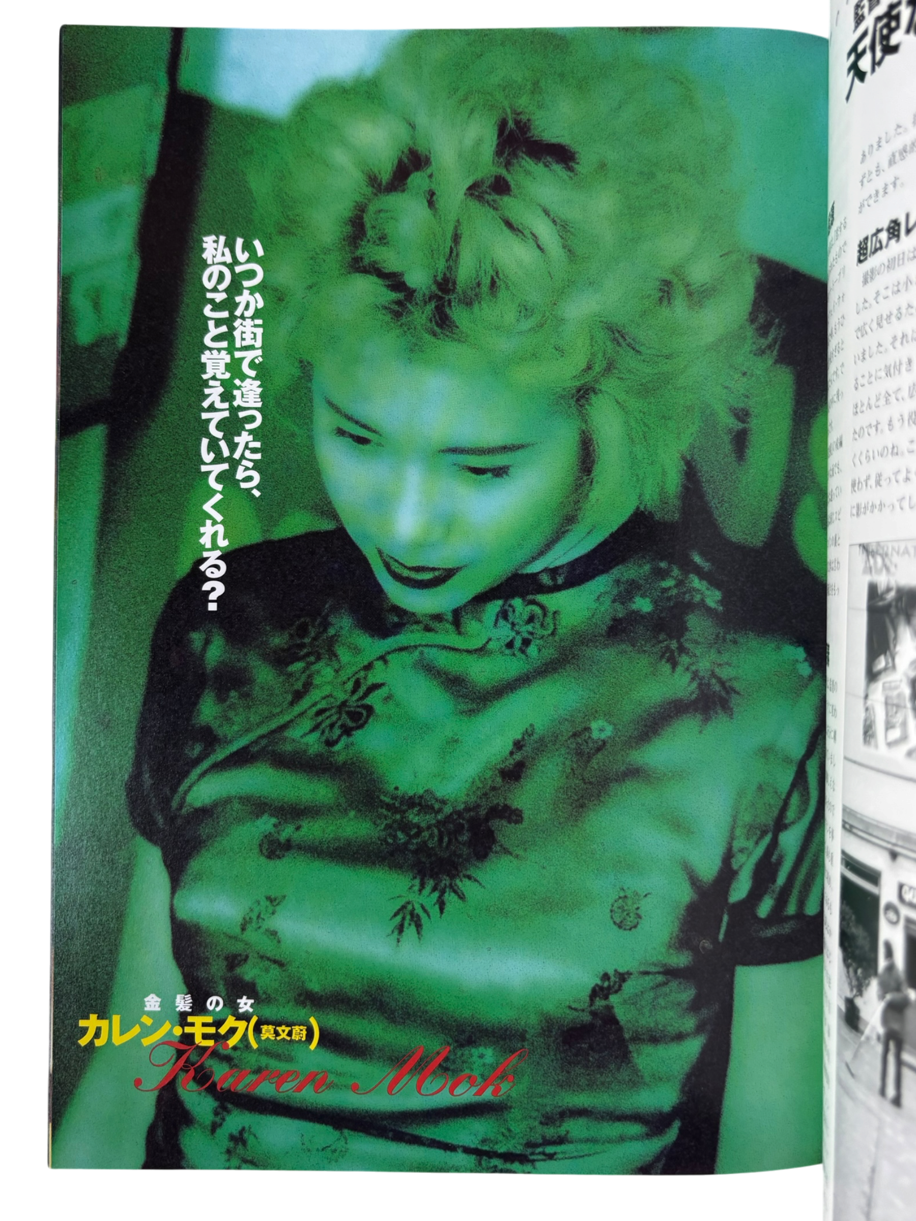 Fallen Angels (1996)