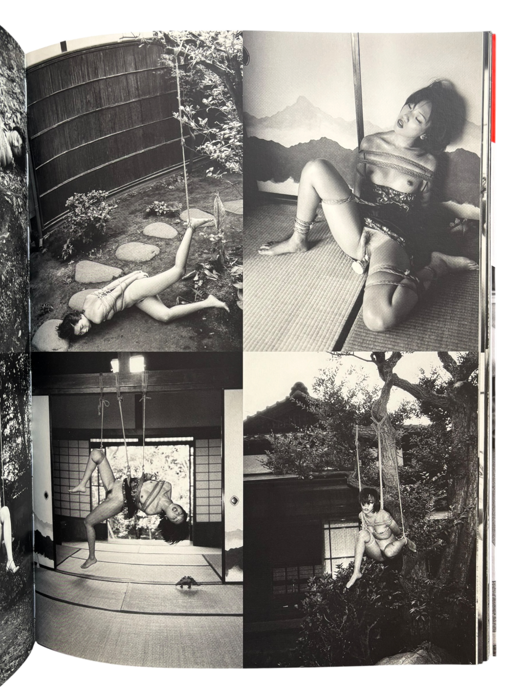 Araki Mythology (2001)