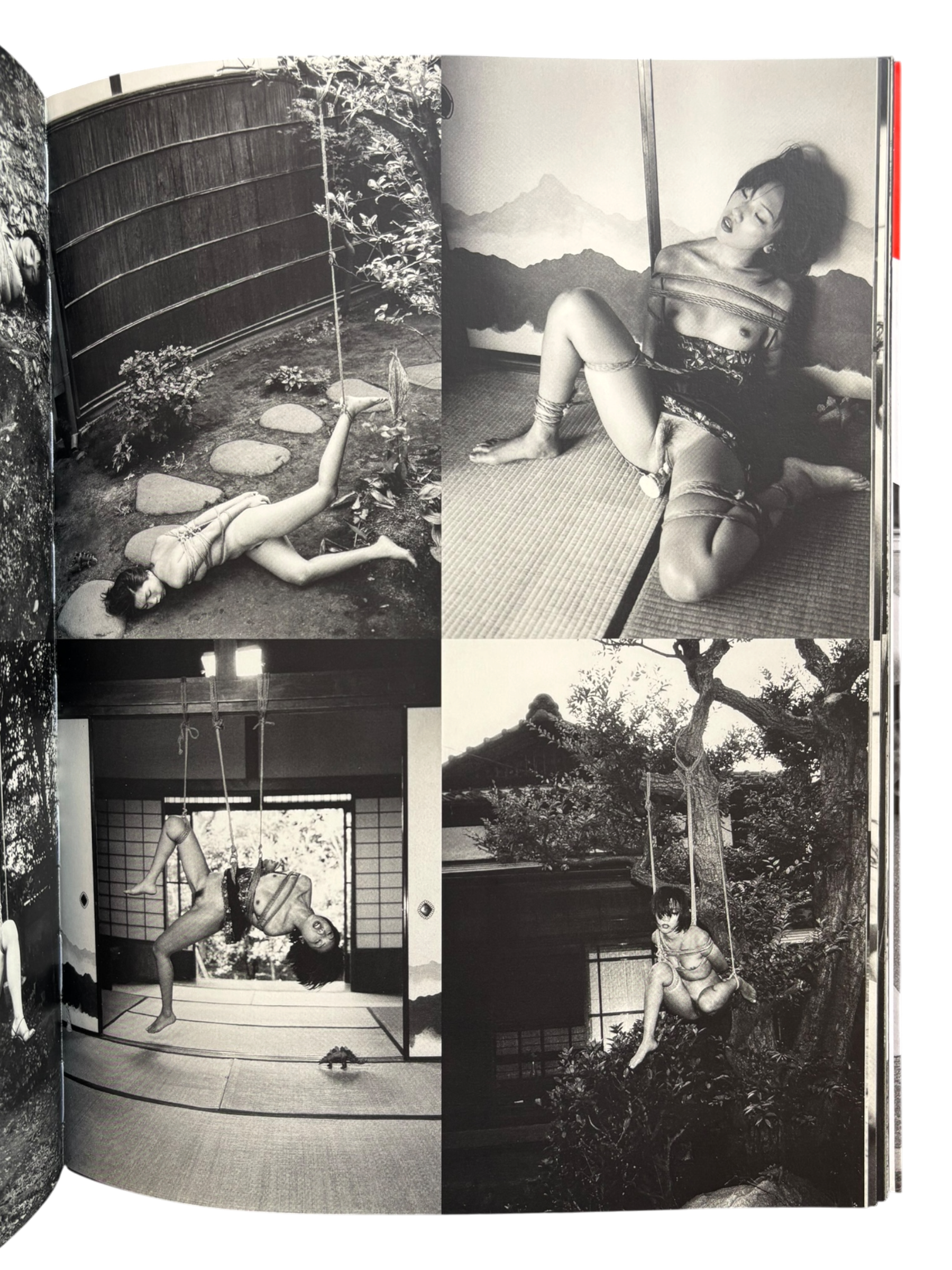 Araki Mythology (2001)
