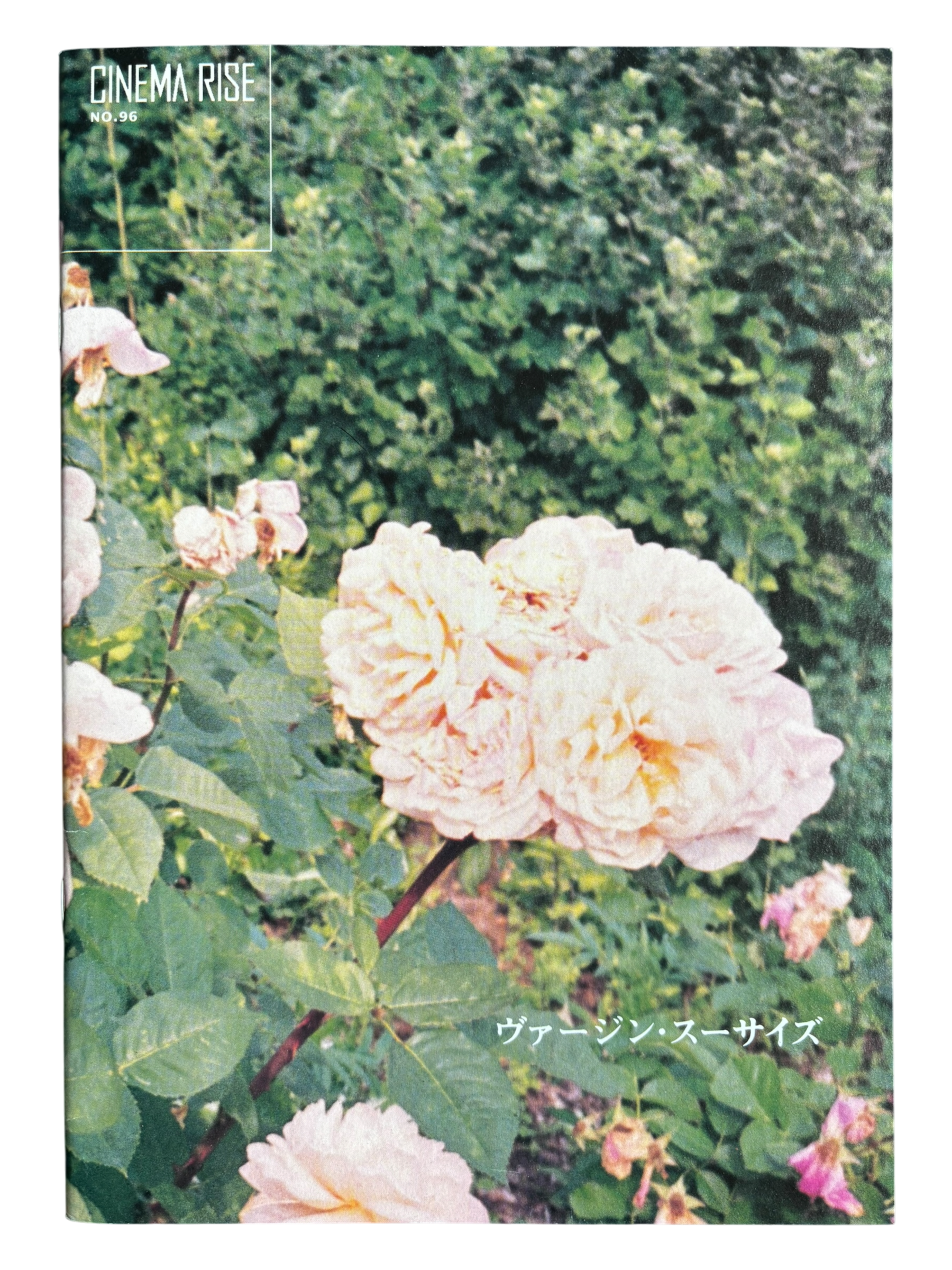 The Virgin Suicides (1999)