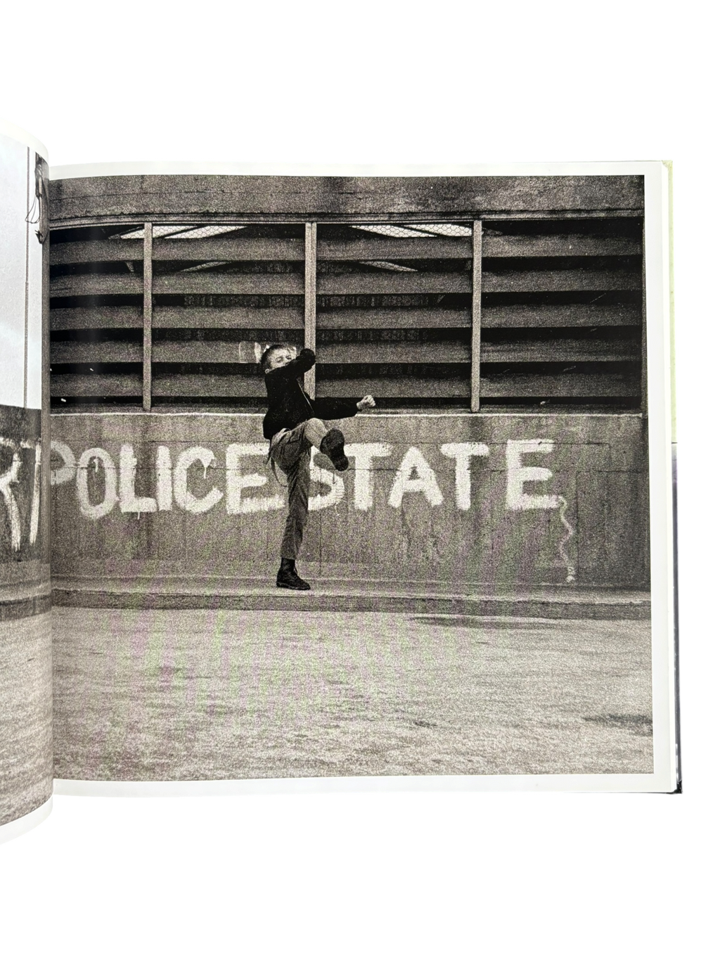 Skins and Punks: Lost Archives 1978-1985 (2008)