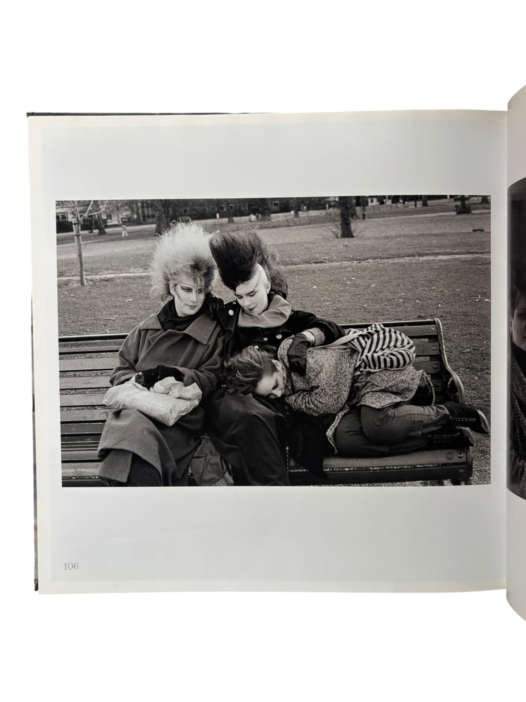 Skins and Punks: Lost Archives 1978-1985 (2008)