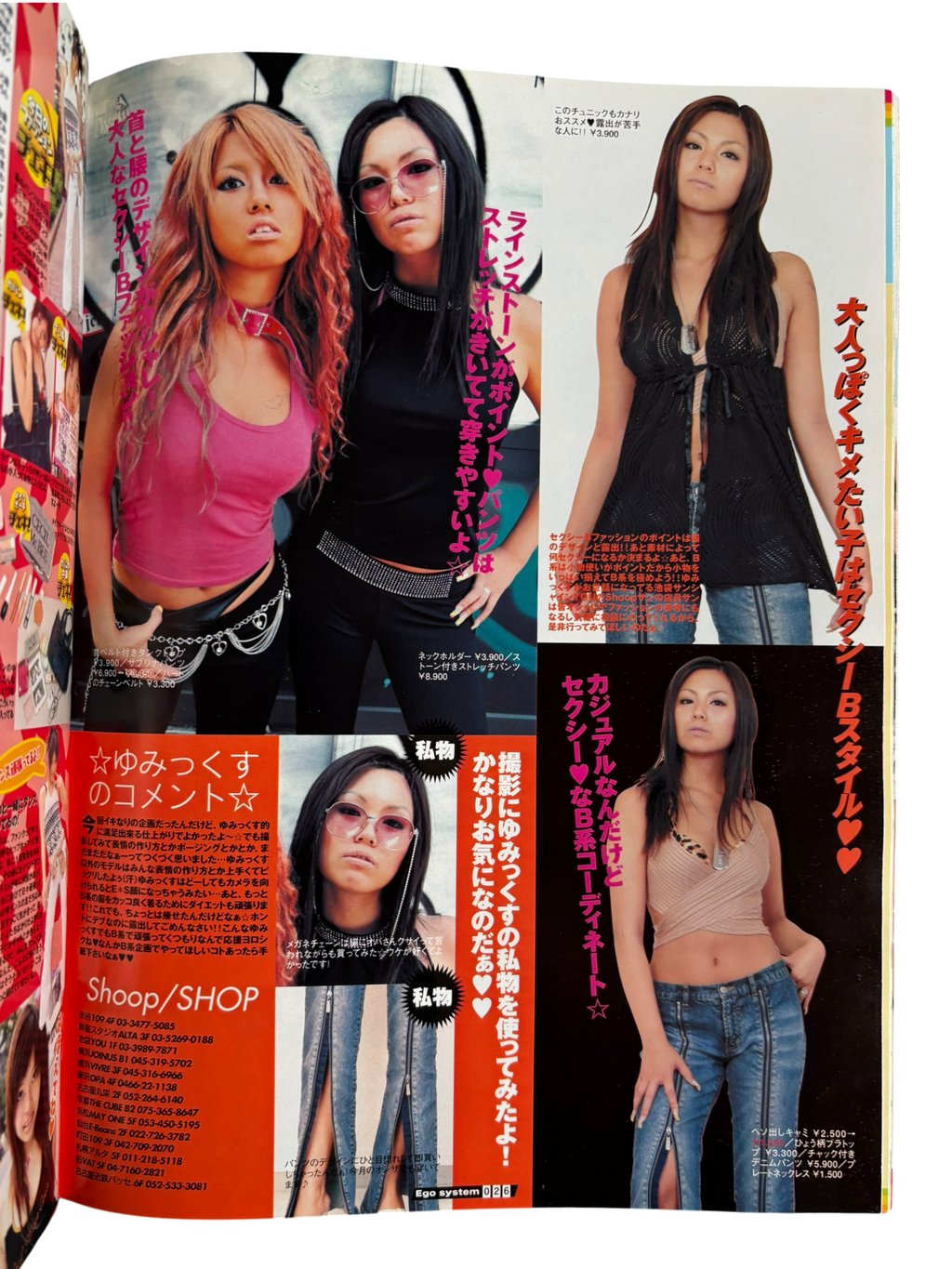 Egg System Vol. 39 (2003)