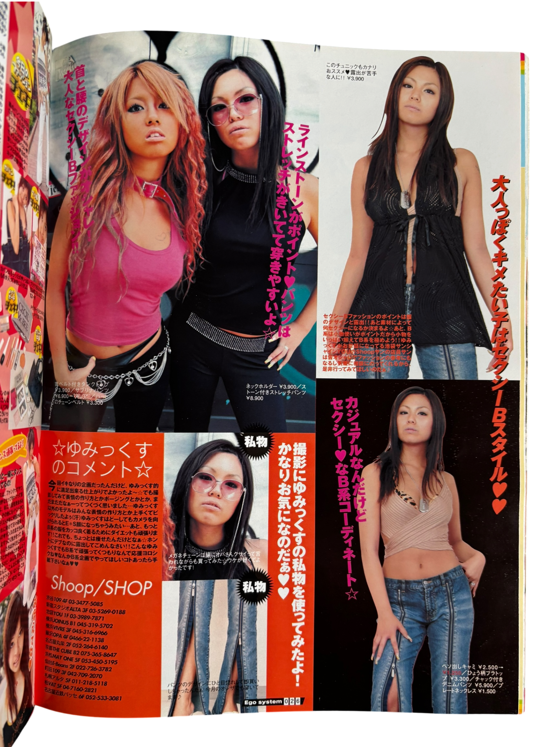 Egg System Vol. 39 (2003)