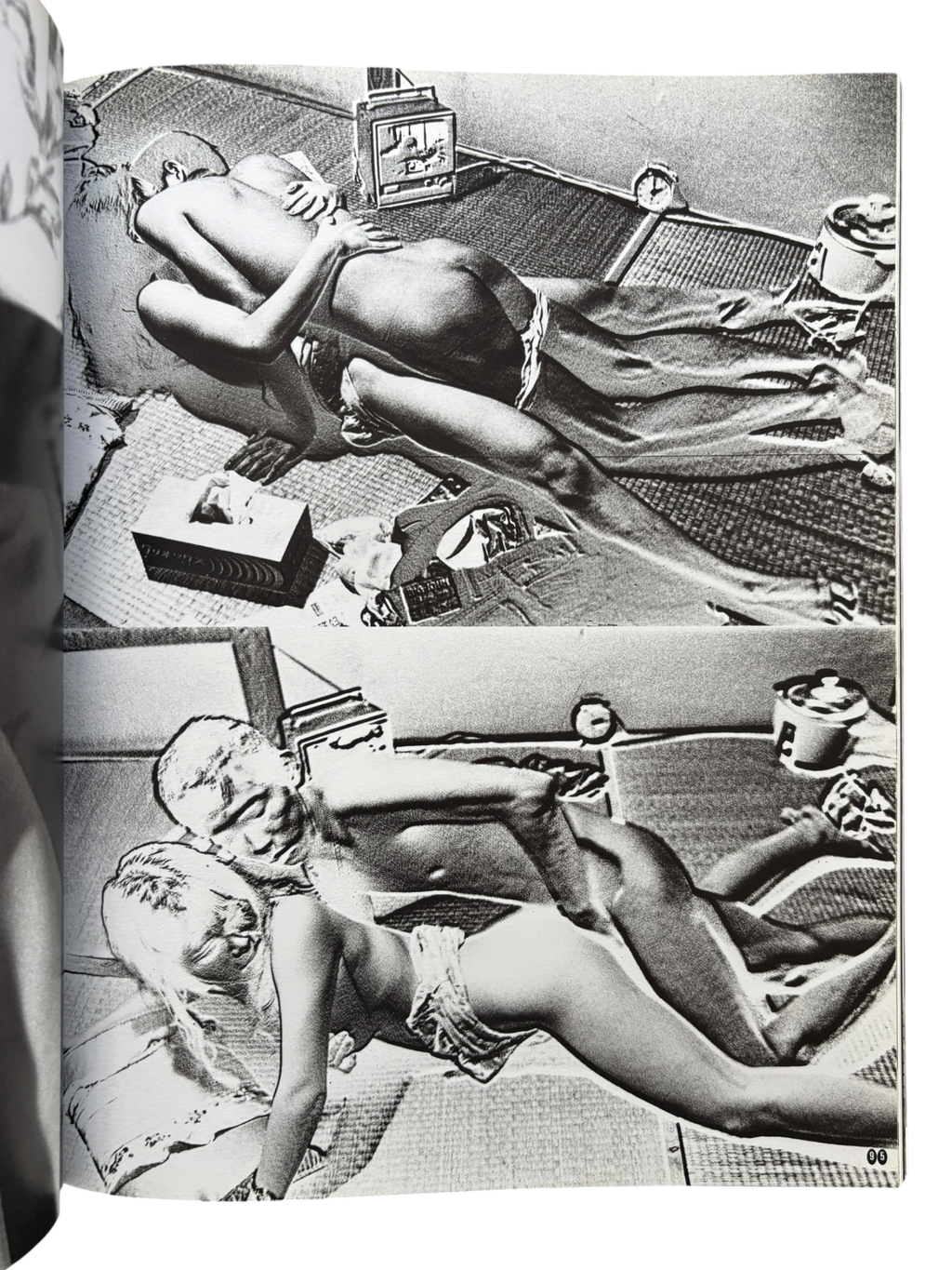 Araki by Araki (2002)