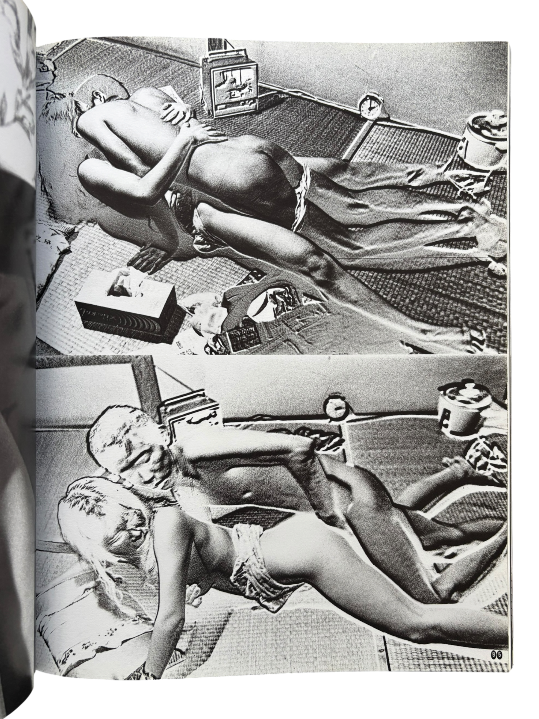 Araki by Araki (2002)