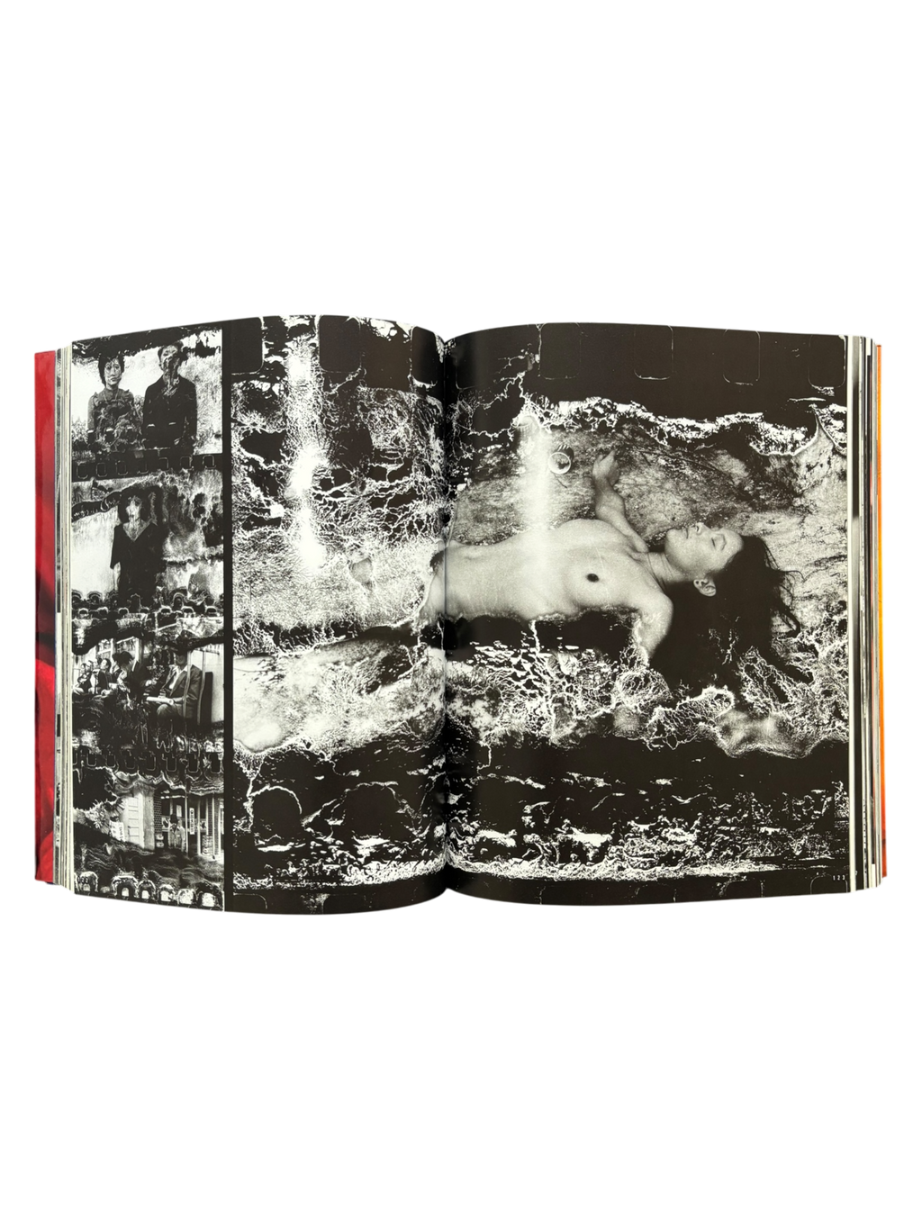 Araki by Araki (2002)