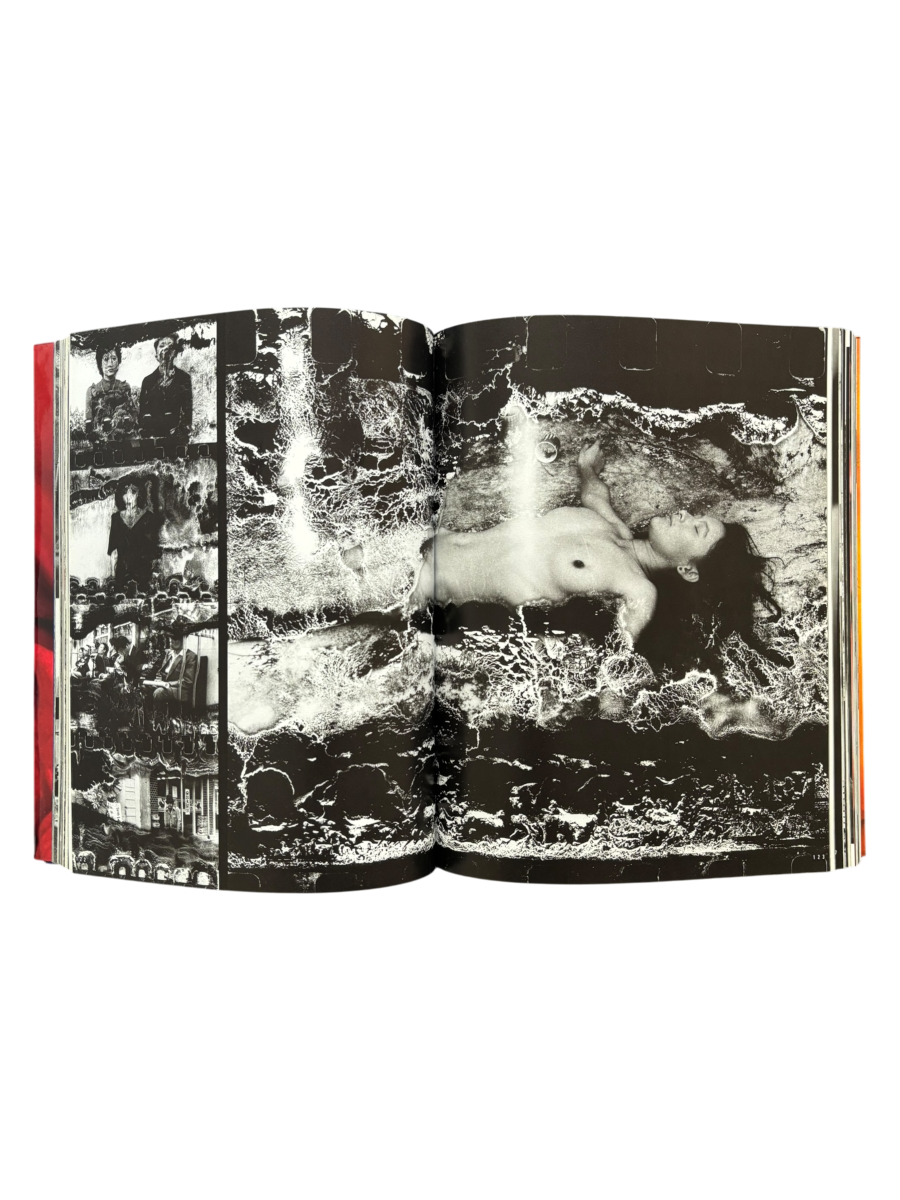 Araki by Araki (2002)