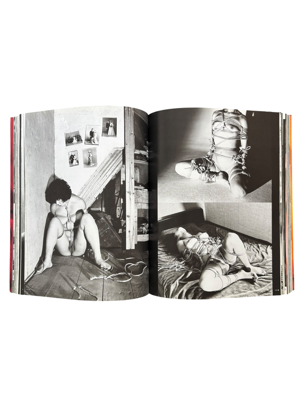 Araki by Araki (2002)